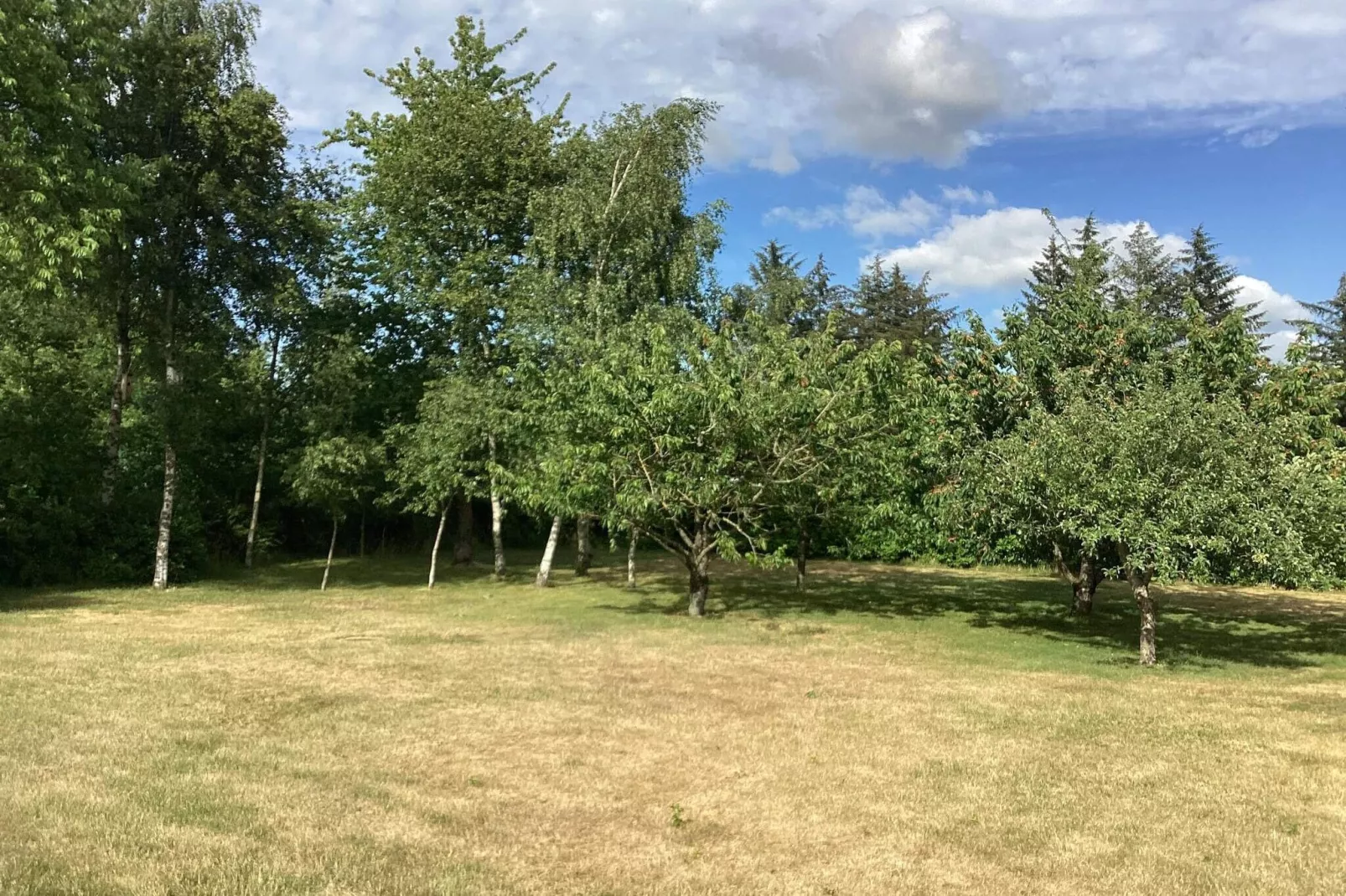 8 persoons vakantie huis in Højslev-By Traum