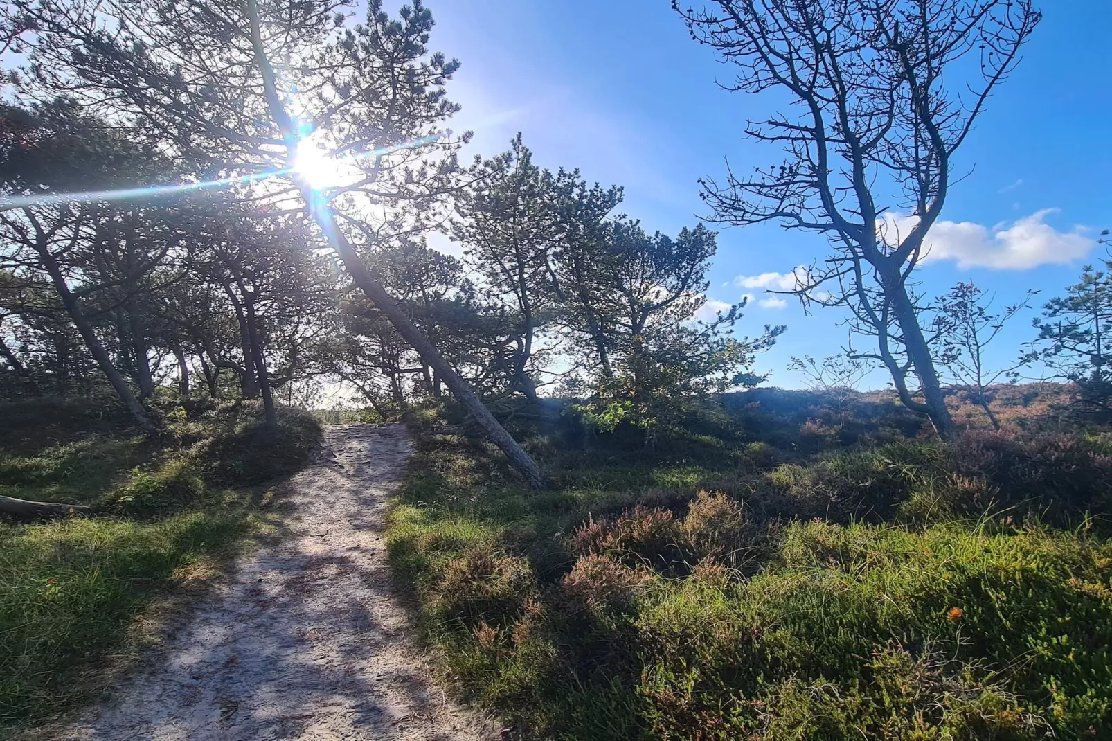 Rustig toevluchtsoord in Bolilmark-By Traum-Niet-getagd