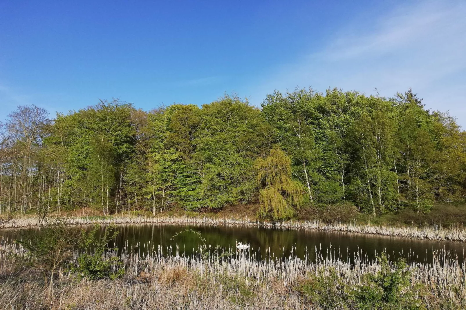 Kustsereniteit bij Fuglsovig-By Traum-Niet-getagd