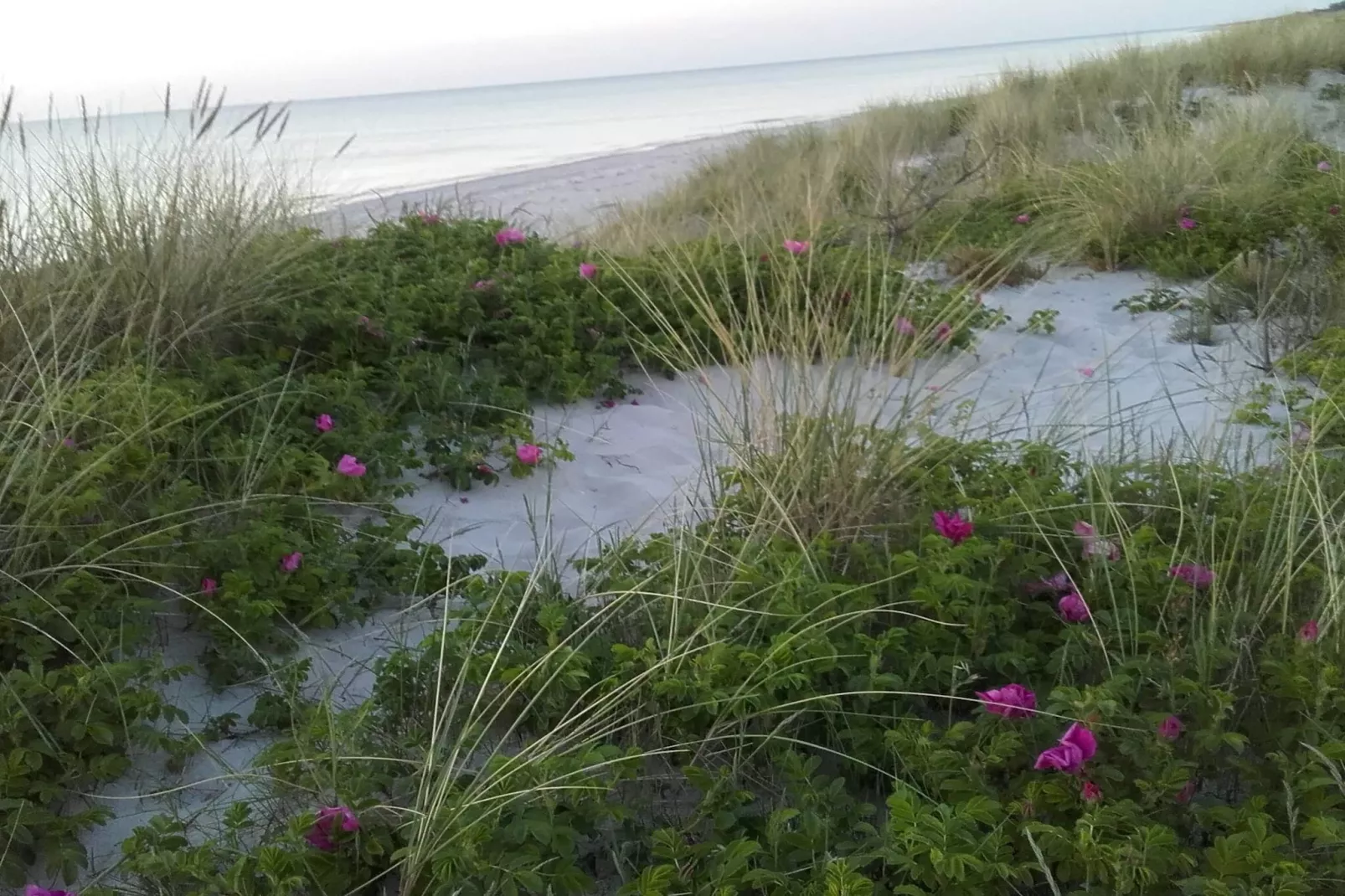 Gezellig toevluchtsoord in Rorvig Haven-By Traum-Niet-getagd