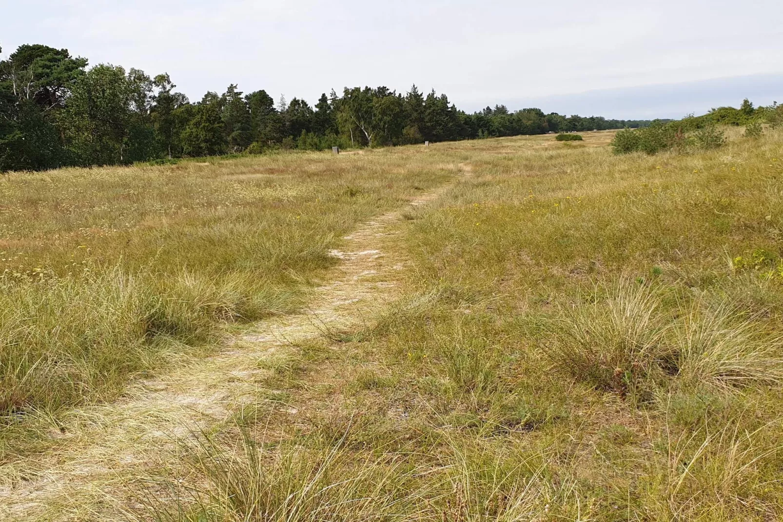 Lichte Cottage met Tuin Terras-By Traum-Niet-getagd
