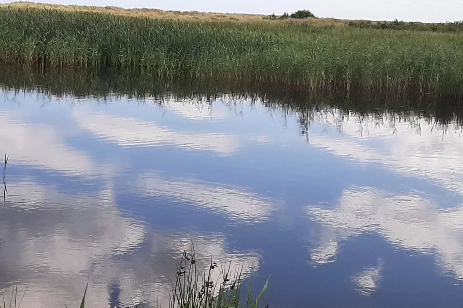 5 persoons vakantie huis in Hals-Waterzicht