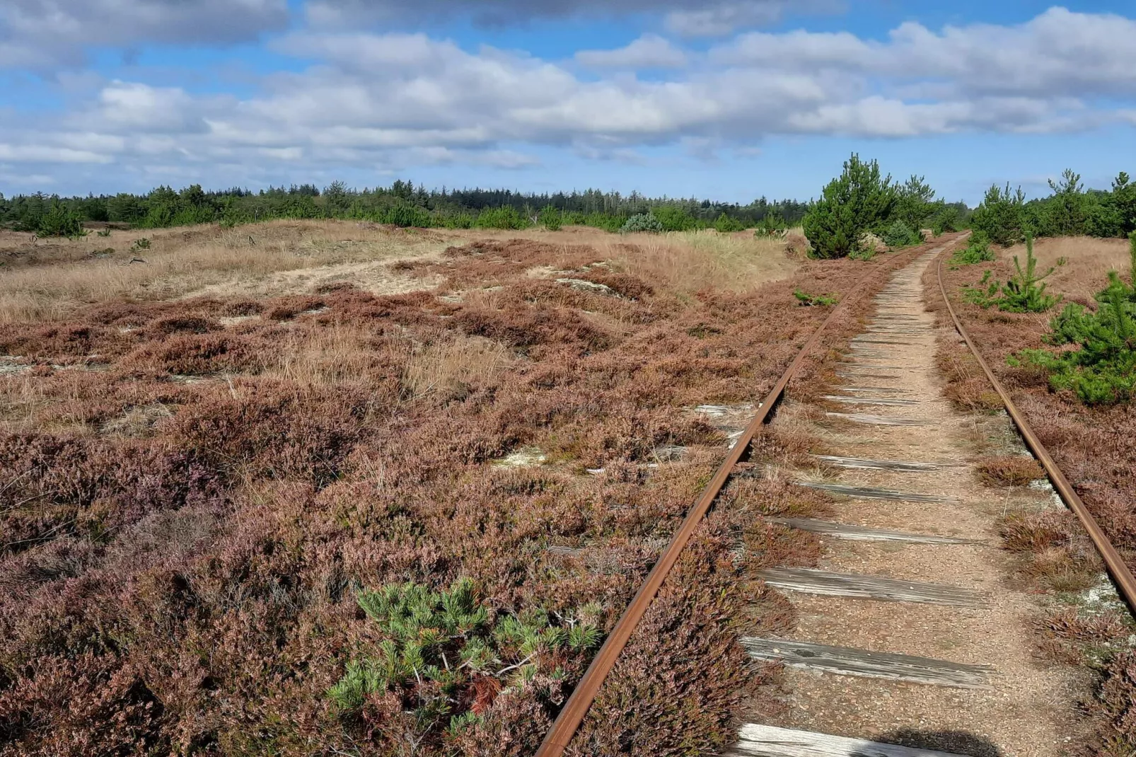 6 persoons vakantie huis in Nørre Nebel-Niet-getagd