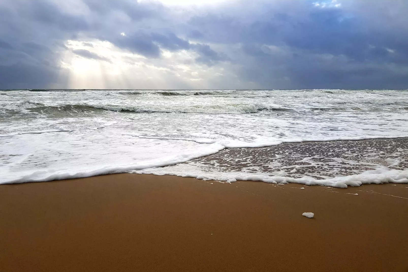 14 persoons vakantie huis in Blåvand-Waterzicht