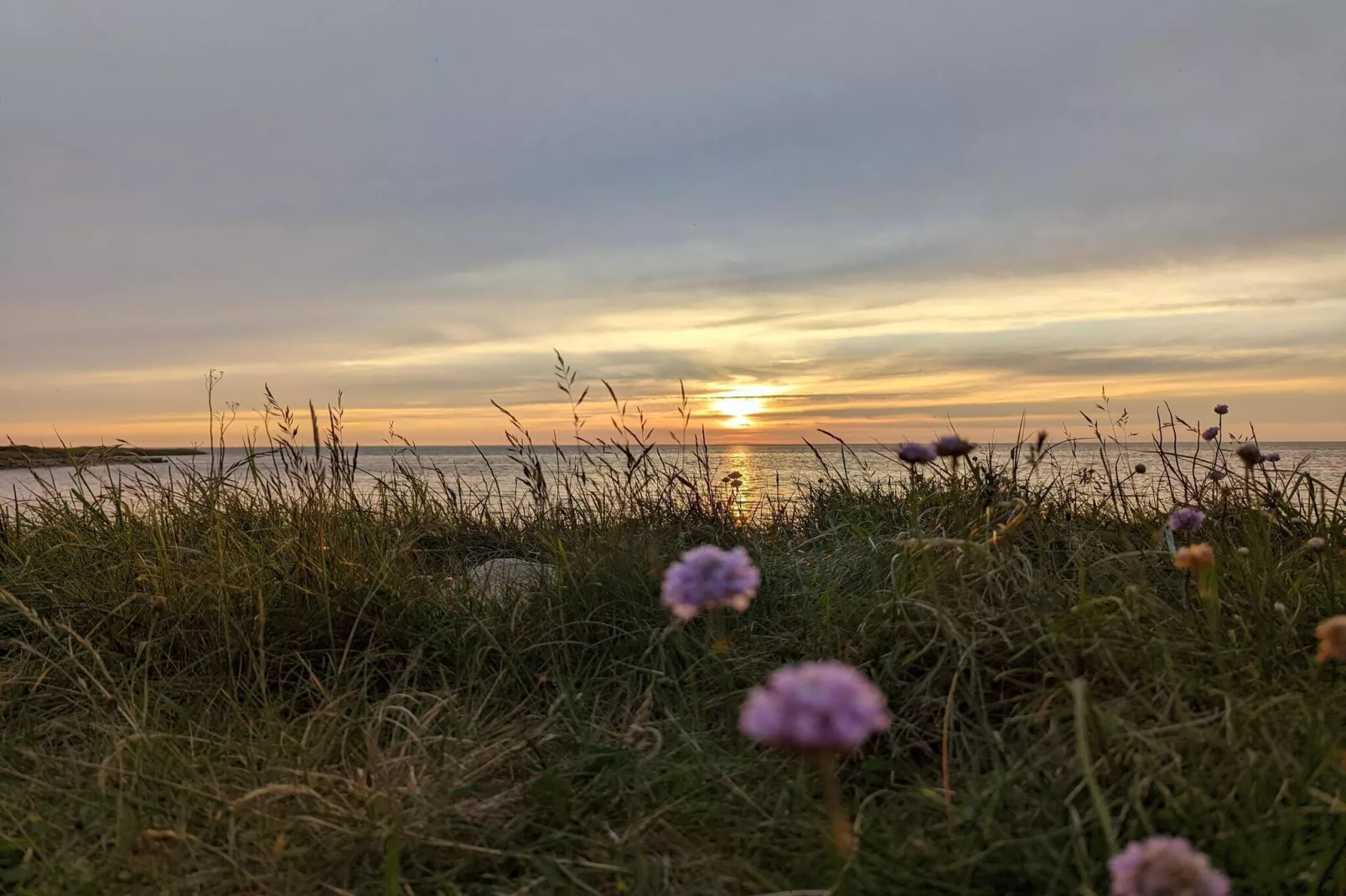 8 persoons vakantie huis in Tarm-Niet-getagd