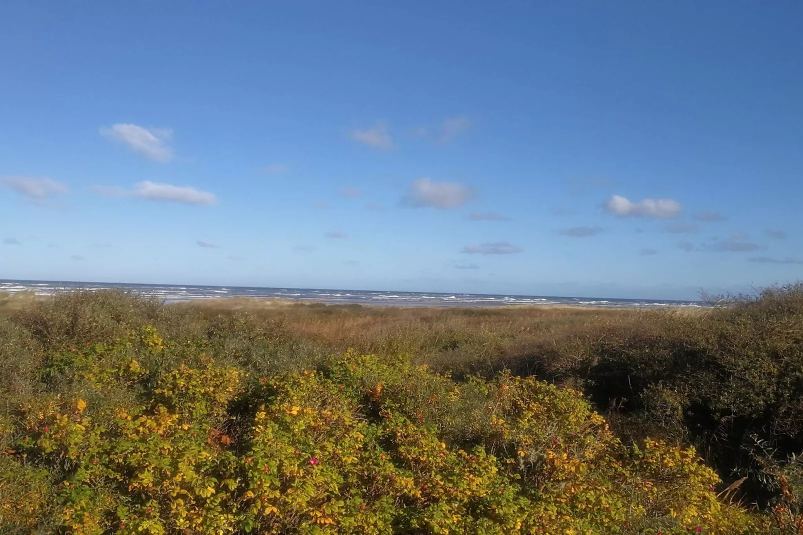 6 persoons vakantie huis in Bindslev-Niet-getagd