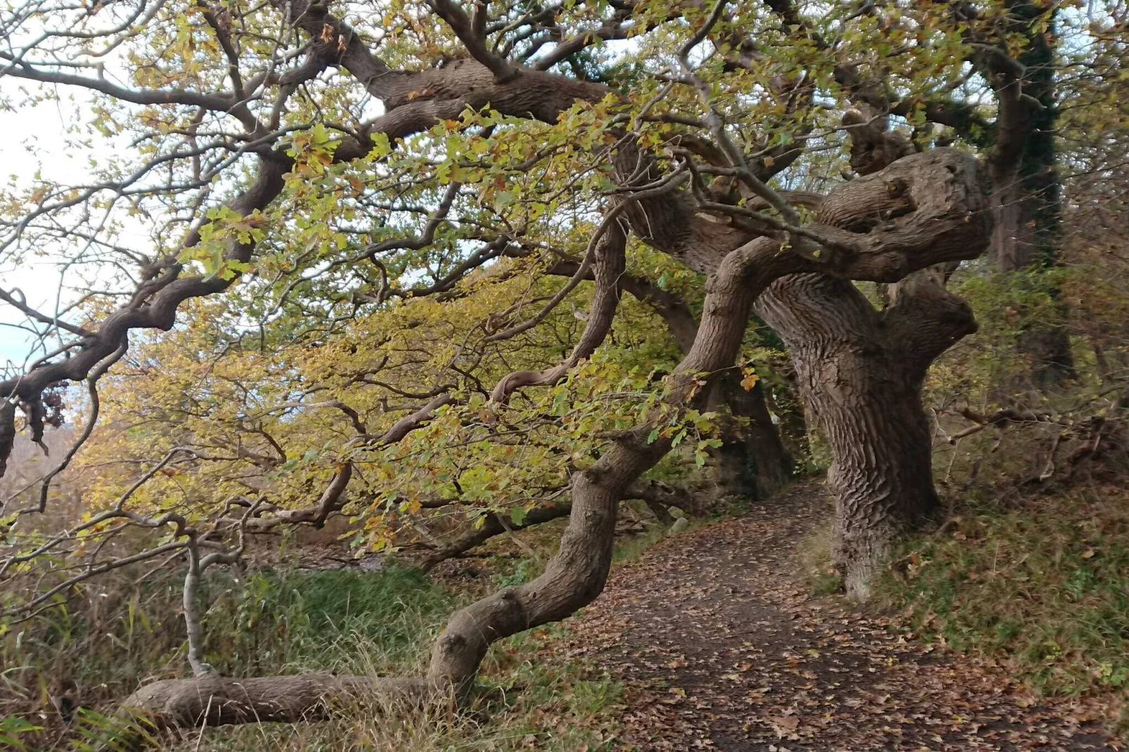 6 persoons vakantie huis in Rude-Niet-getagd