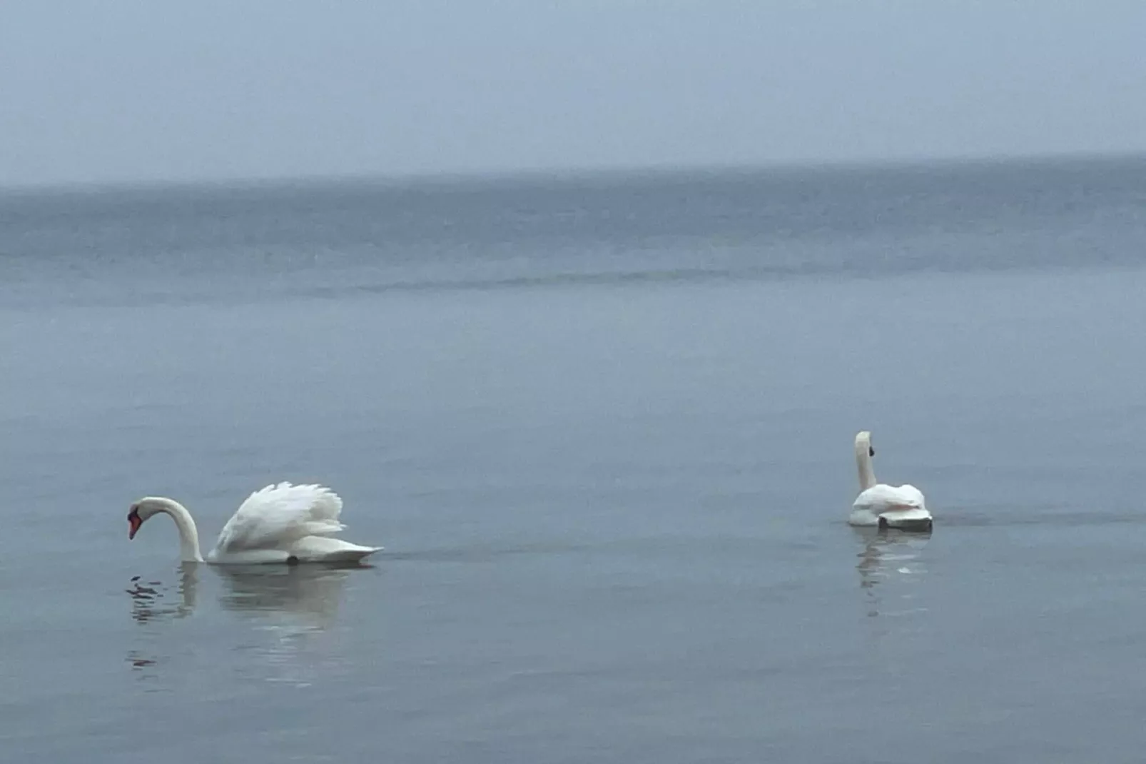 Kustsereniteit in Faldsled-By Traum-Waterzicht