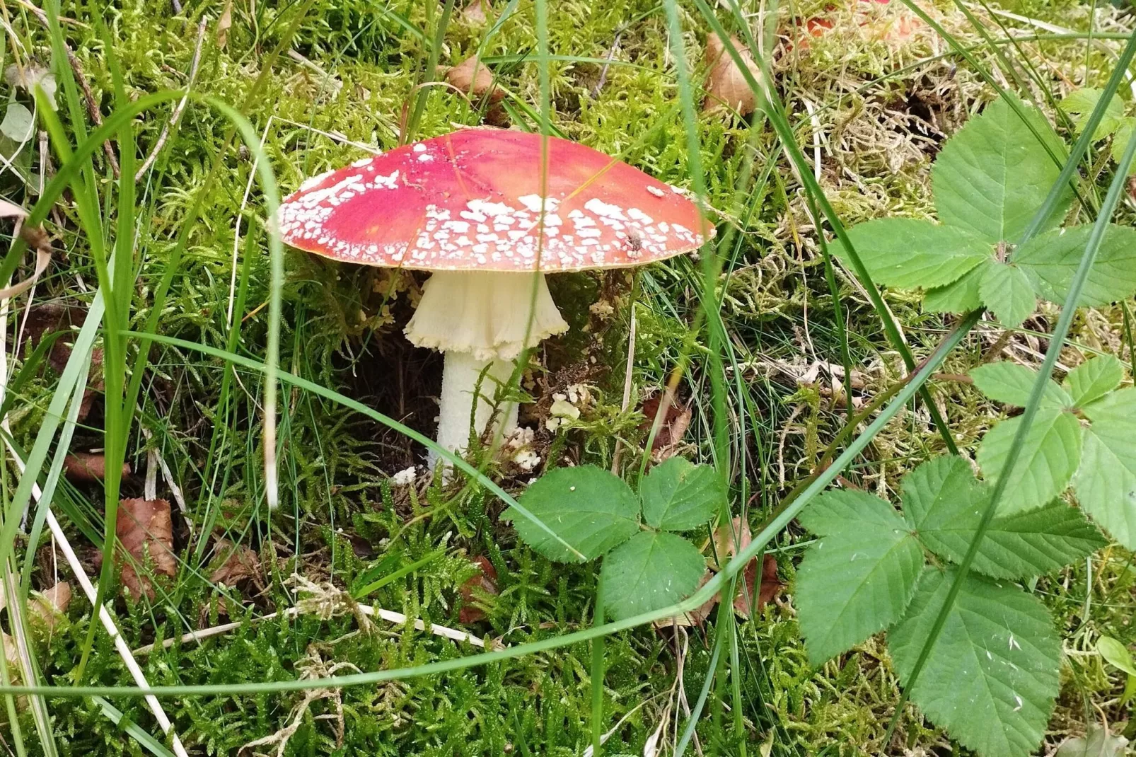 6 persoons vakantie huis in Hadsund-Niet-getagd