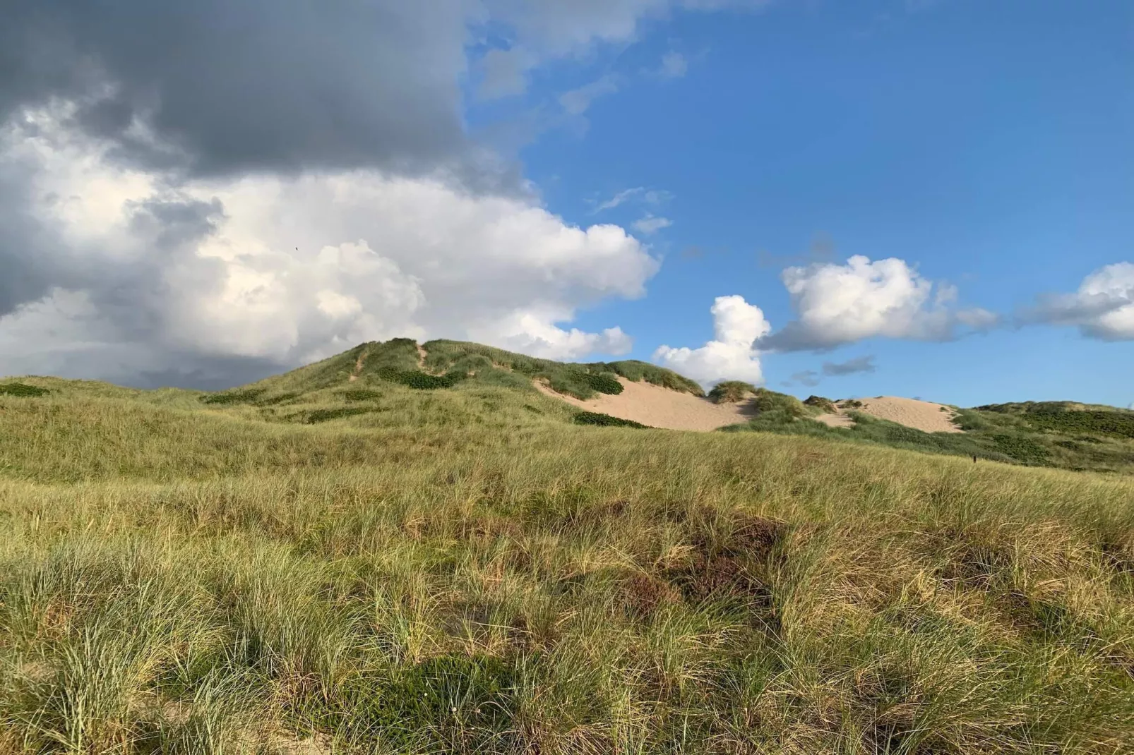 6 persoons vakantie huis in Hvide Sande-Niet-getagd