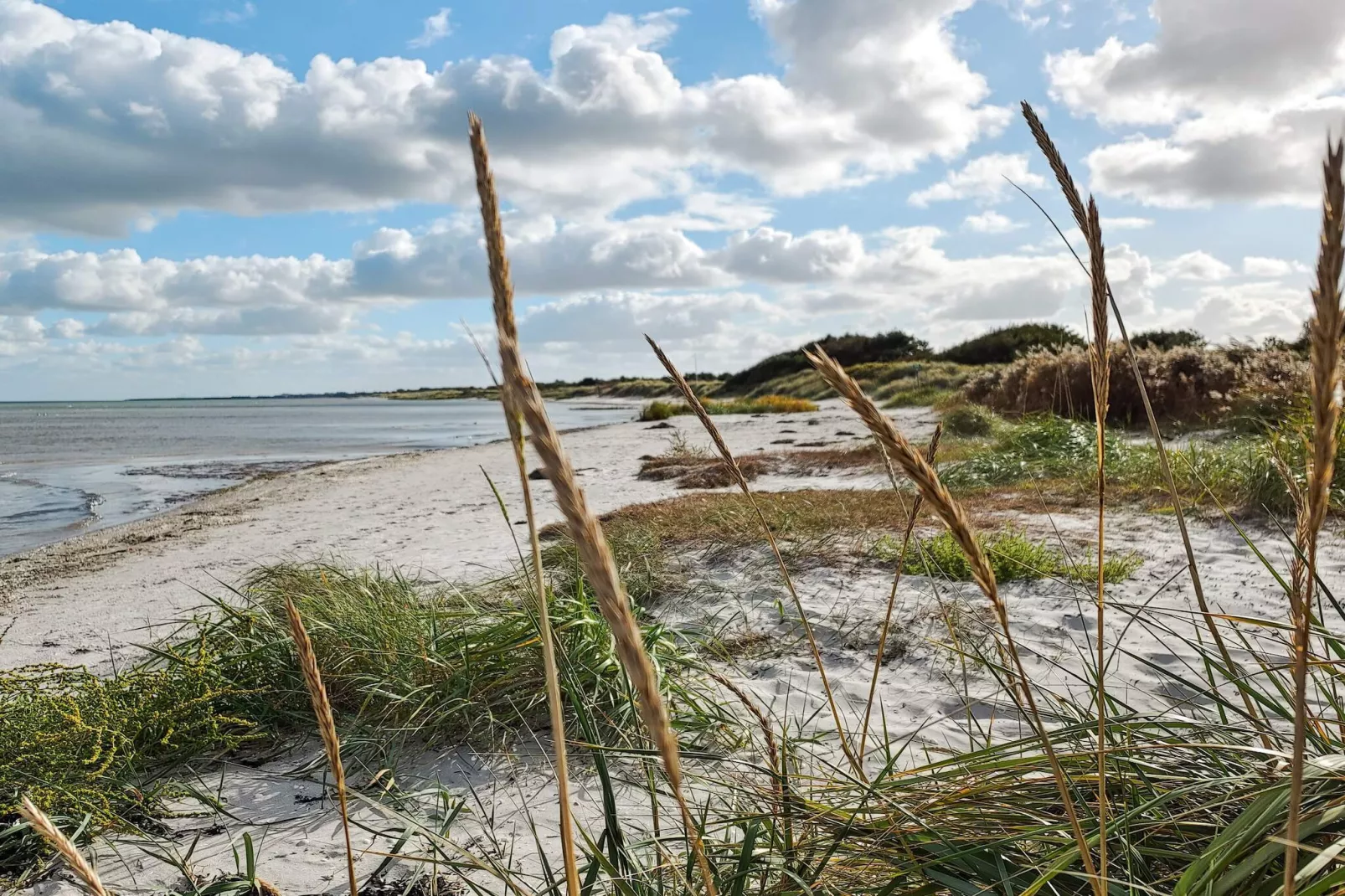 8 persoons vakantie huis in Væggerløse-Waterzicht