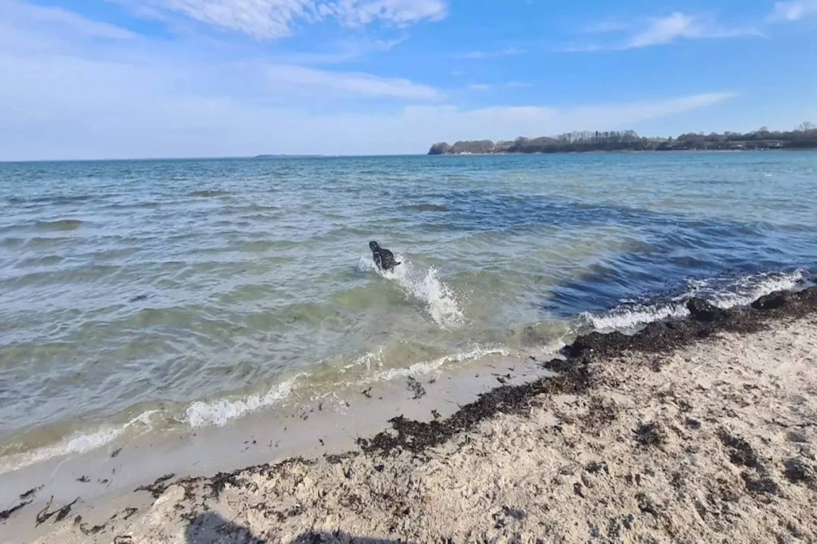 8 persoons vakantie huis in Hejls