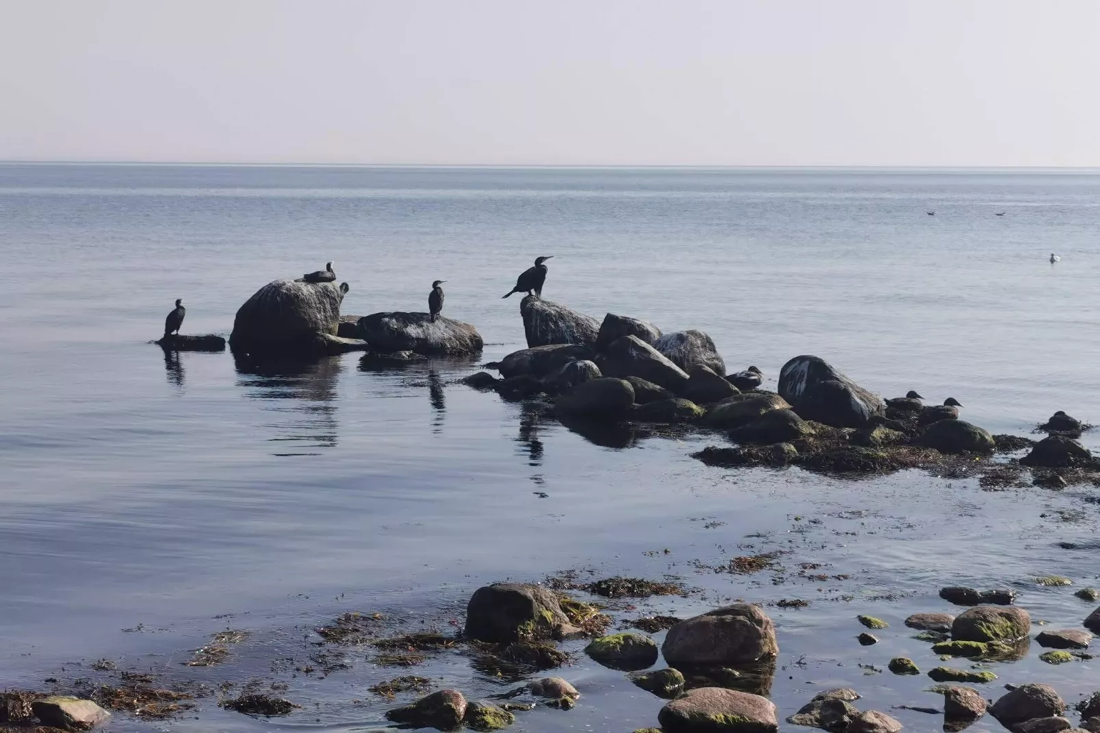 6 persoons vakantie huis in Gørlev-Waterzicht