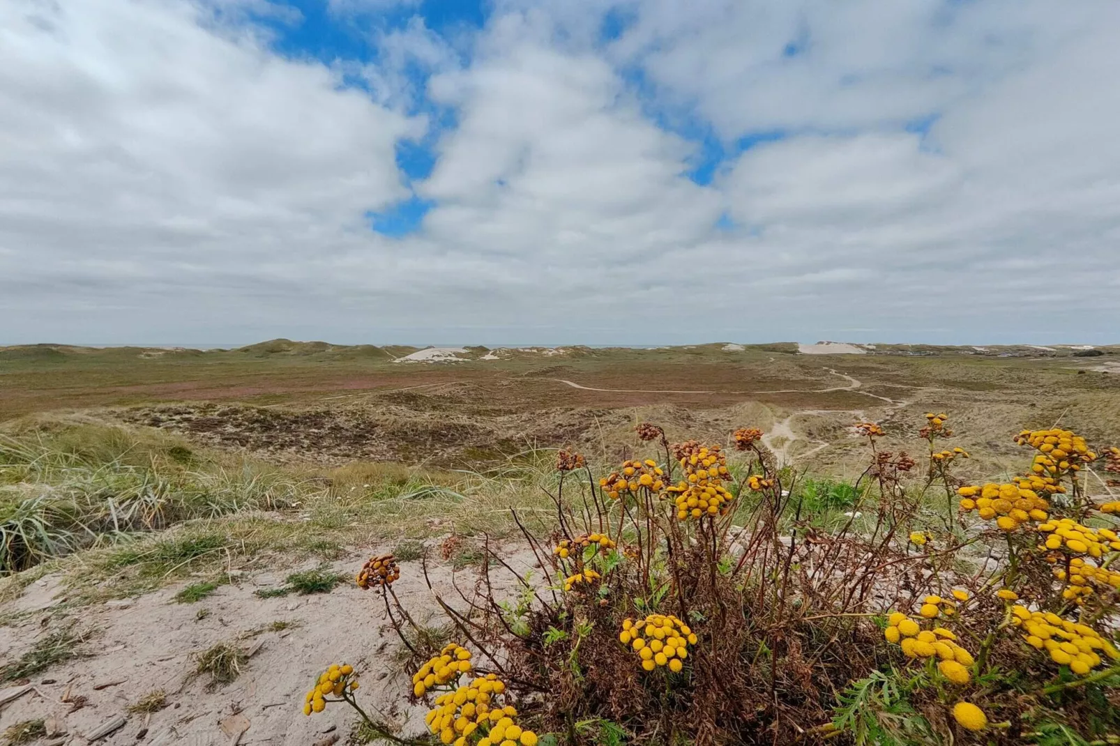 5 persoons vakantie huis in Hvide Sande-Niet-getagd