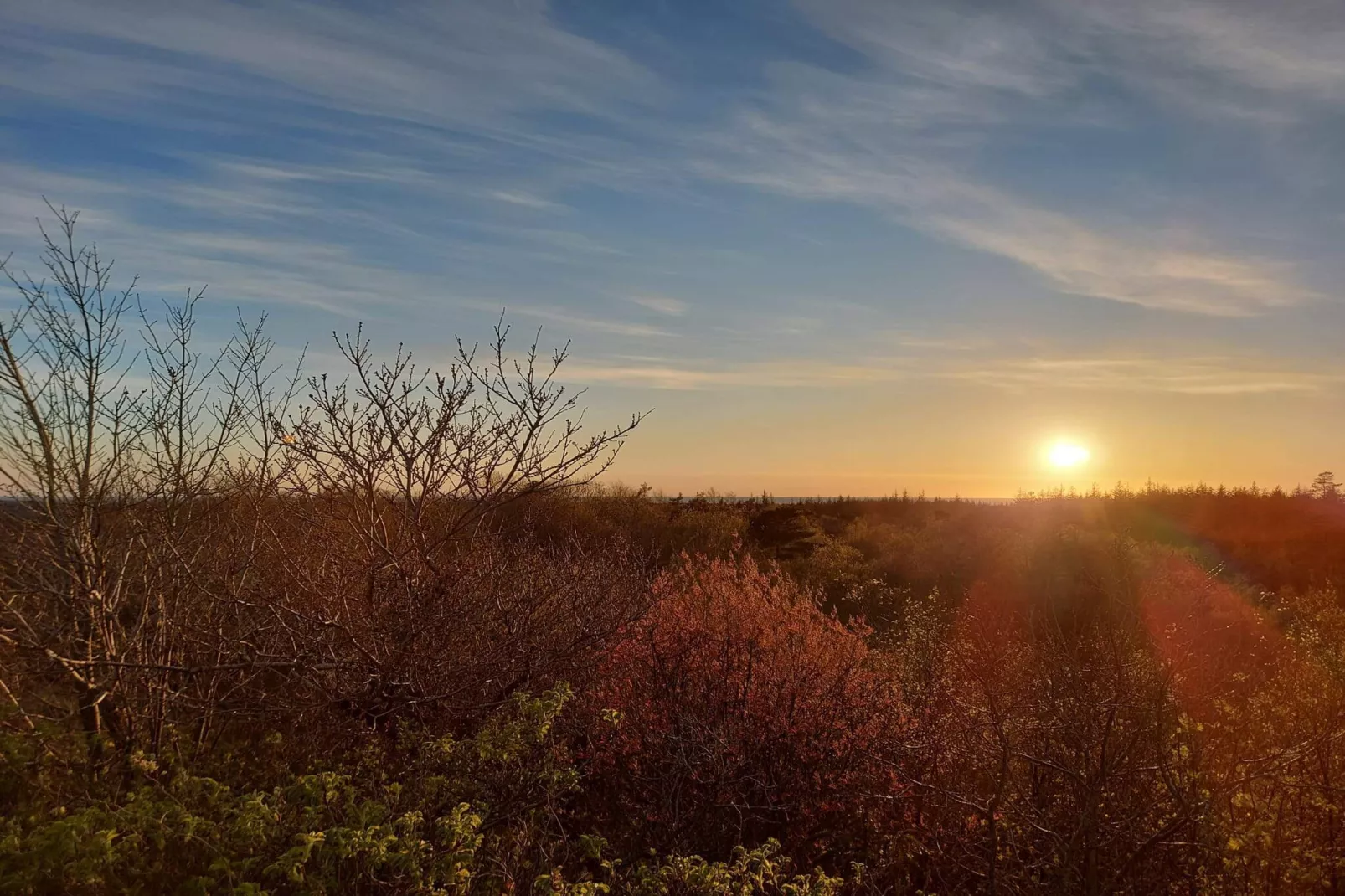 6 persoons vakantie huis in Nørre Nebel-Niet-getagd
