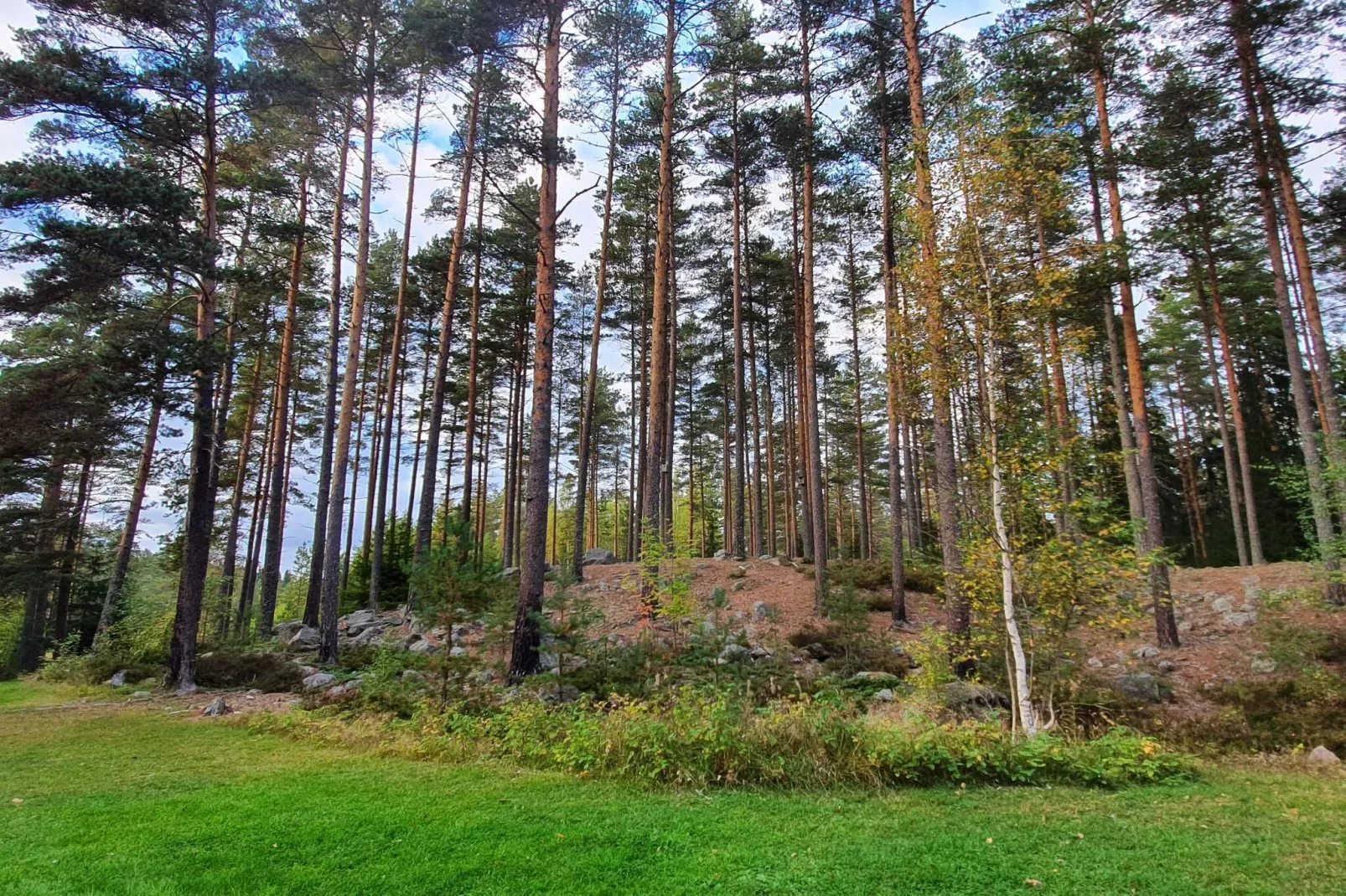 6 persoons vakantie huis in KOPPARBERG-By Traum-Niet-getagd