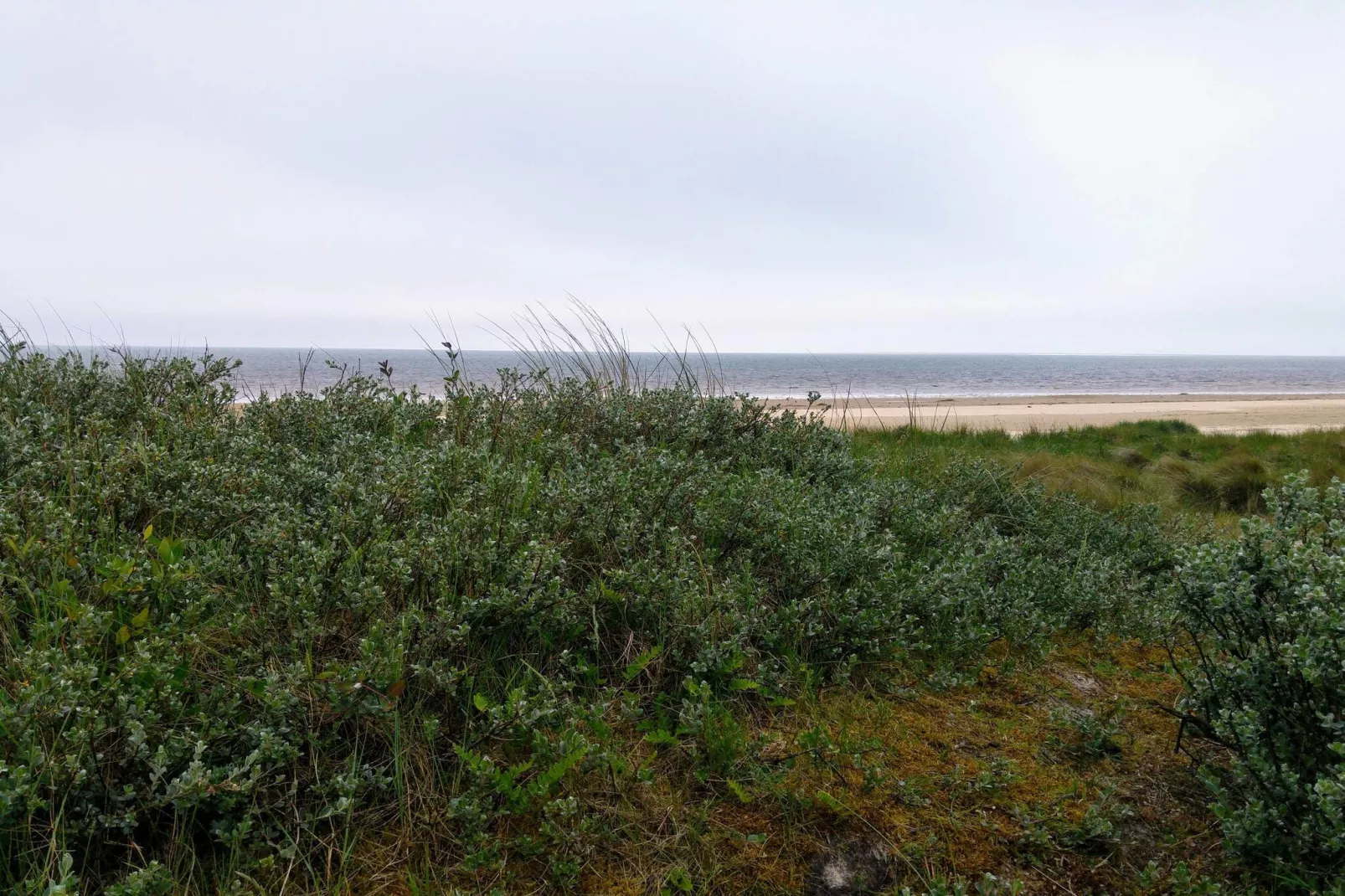 Gezellig toevluchtsoord in Sonderho -- By Traum Ferienwohnungen-Niet-getagd