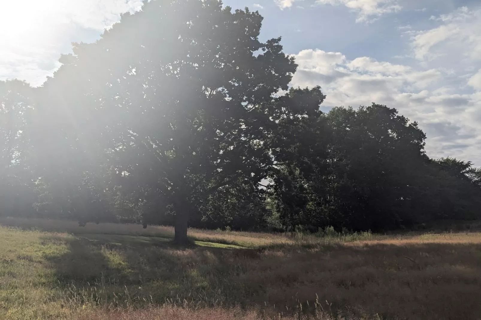 Ruim toevluchtsoord met fjordzicht -- By Traum Ferienwohnungen-Niet-getagd