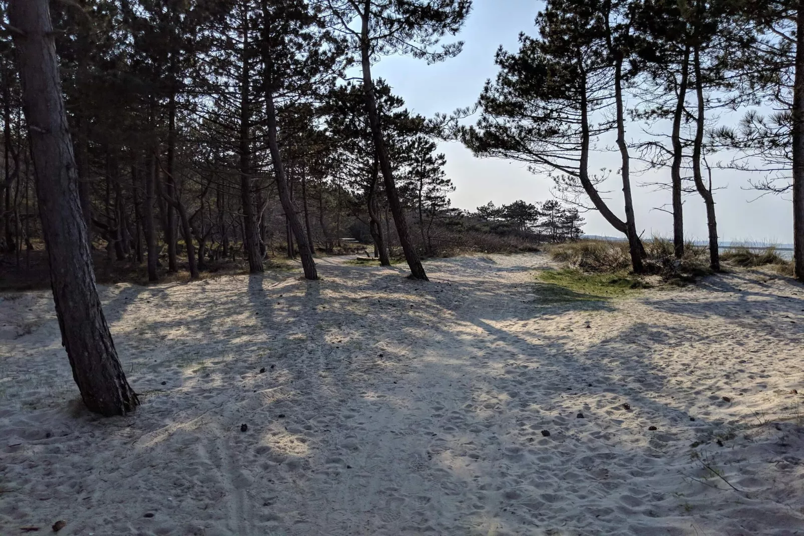 6 persoons vakantie huis in Dronningmølle-By Traum-Niet-getagd