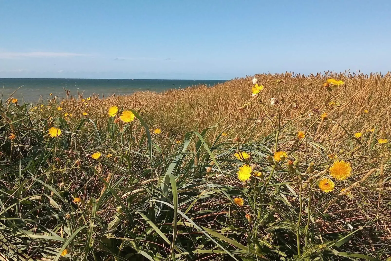 6 persoons vakantie huis in Harboøre-By Traum-Niet-getagd