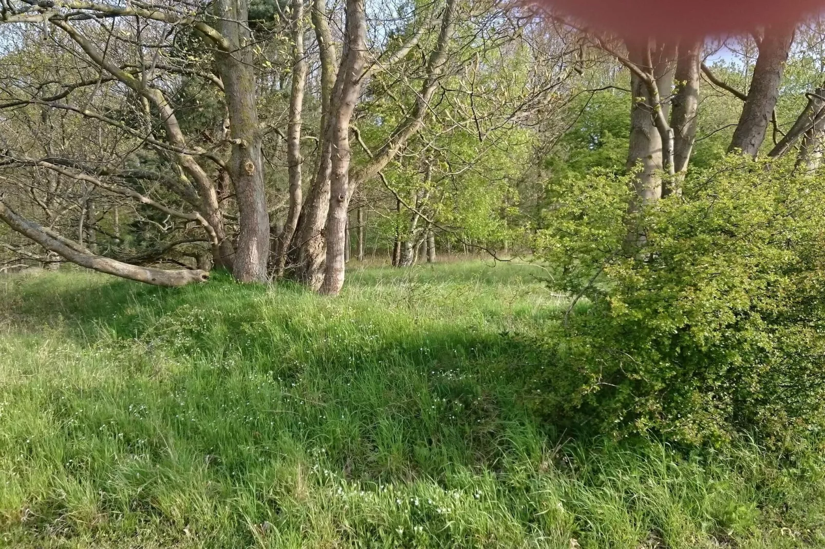 Kust ontsnapping in Praesto -- By Traum Ferienwohnungen-Niet-getagd