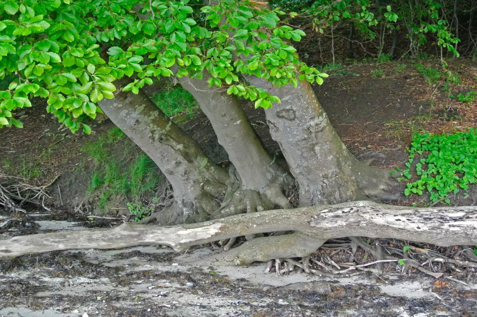 4 persoons vakantie huis in Hejls-By Traum-Niet-getagd