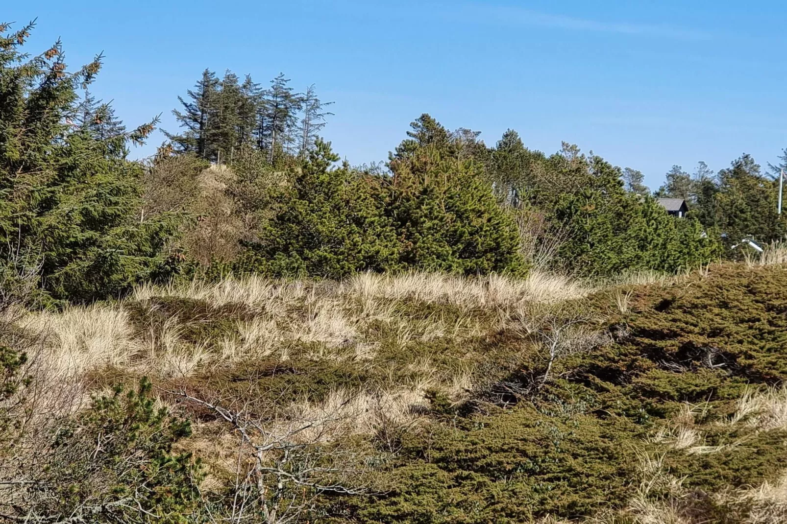 Gezellig strandverblijf -- By Traum Ferienwohnungen-Niet-getagd