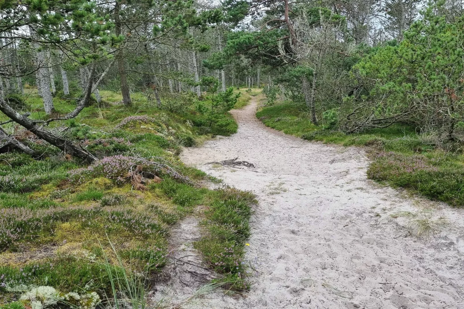 Afgelegen oase met zwembad -- By Traum Ferienwohnungen-Niet-getagd