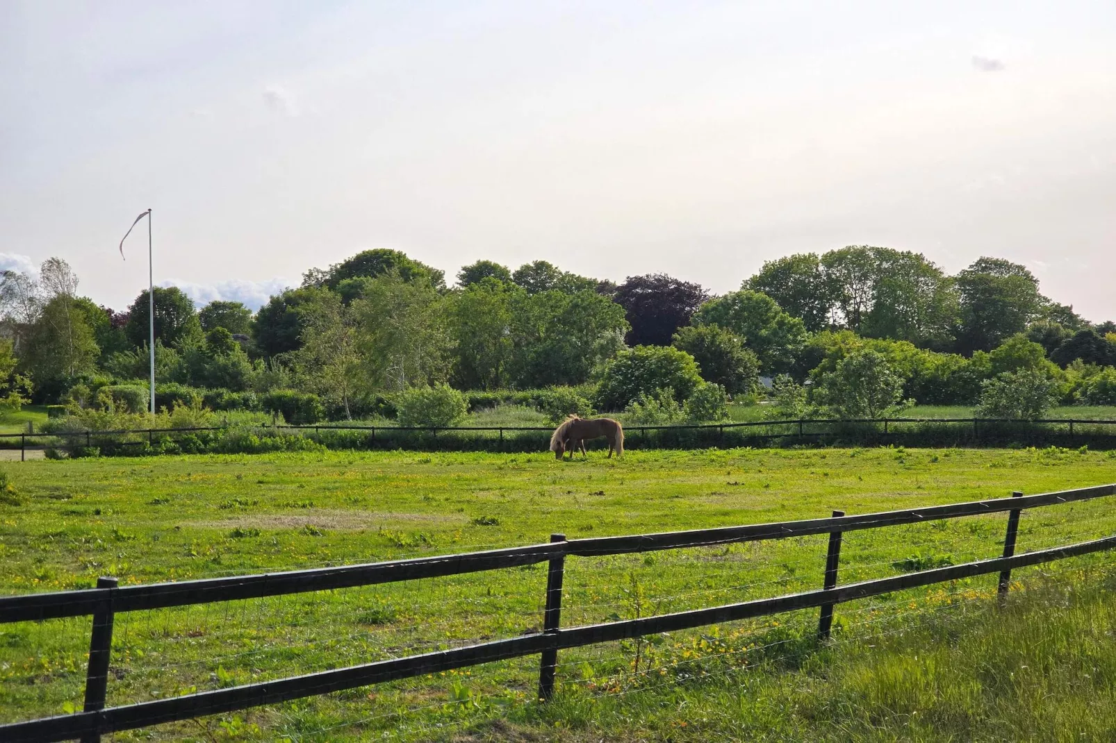 6 persoons vakantie huis in Nibe-By Traum-Niet-getagd