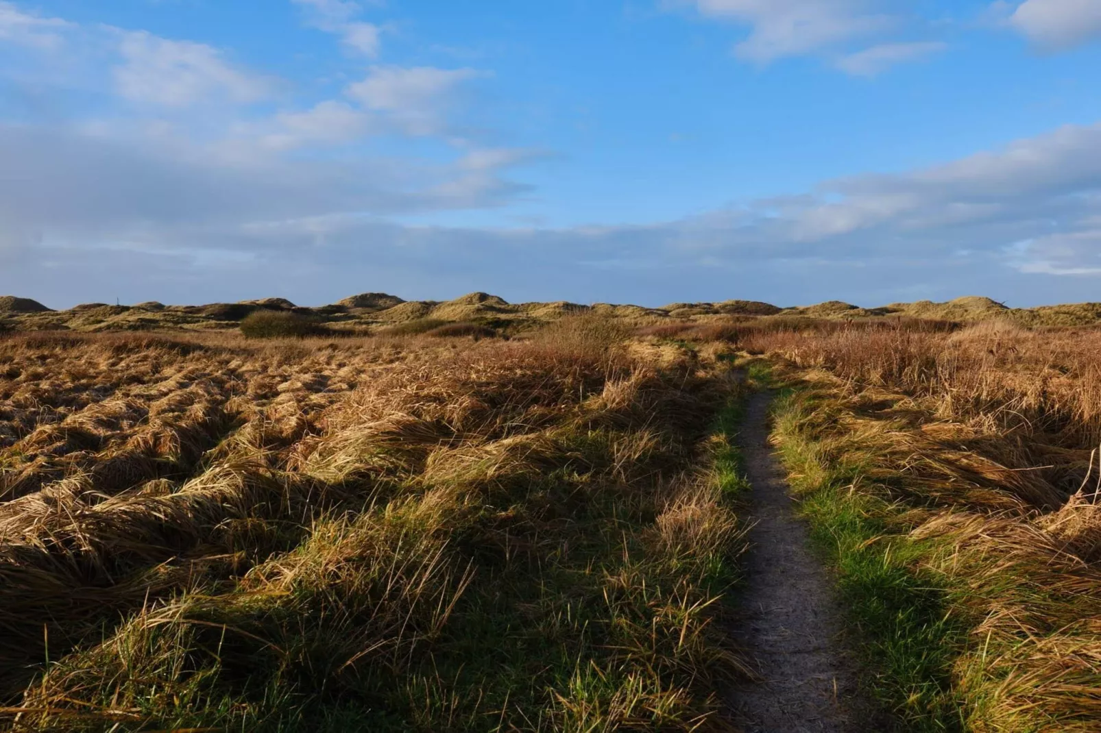 Luxe strandhuis in Blokhus -- By Traum Ferienwohnungen-Niet-getagd