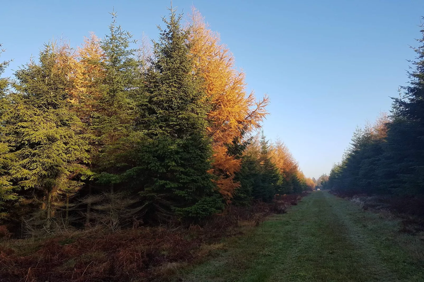 6 persoons vakantie huis in Toftlund-By Traum-Niet-getagd