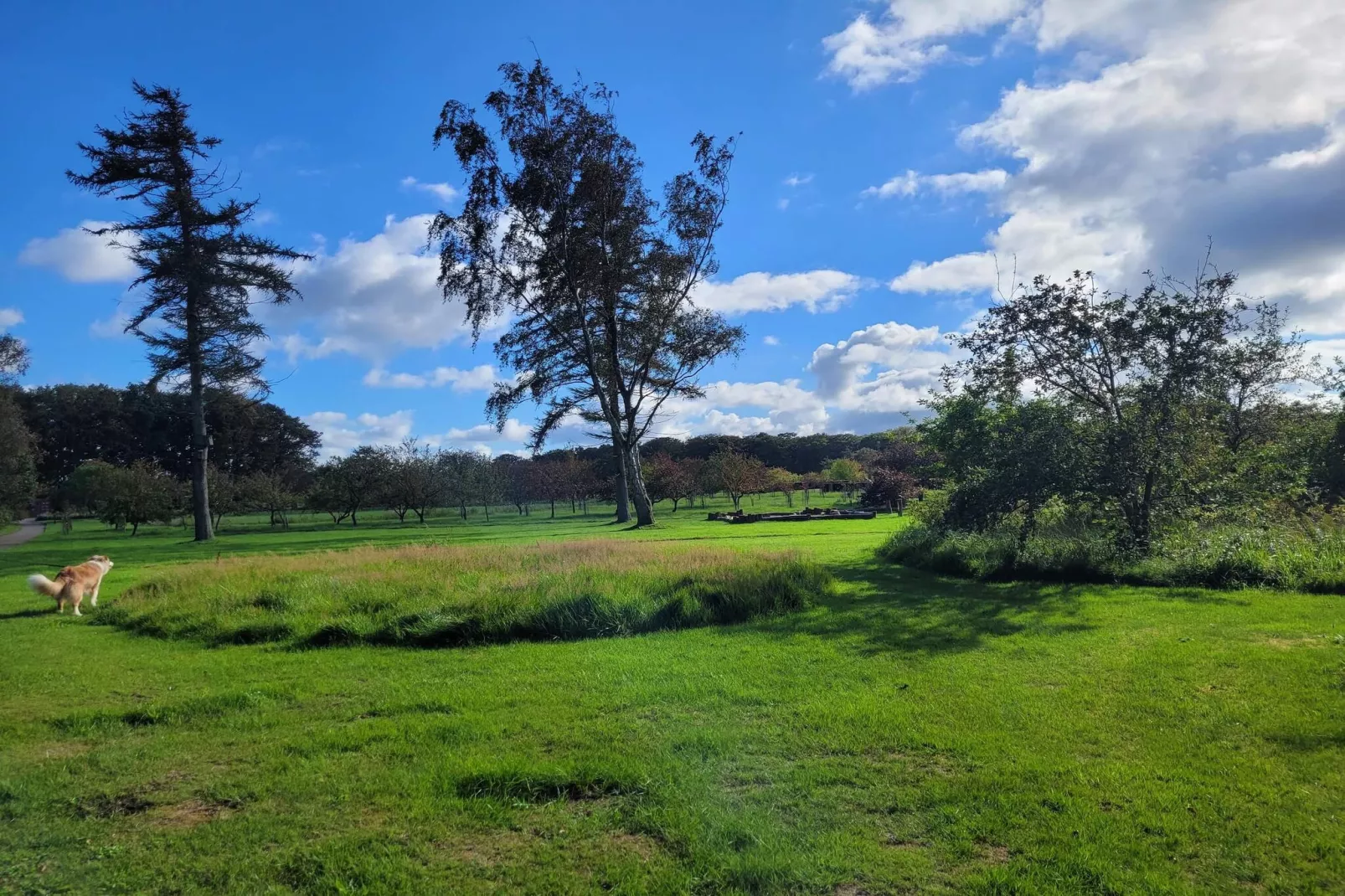 8 persoons vakantie huis in Sæby-By Traum-Niet-getagd