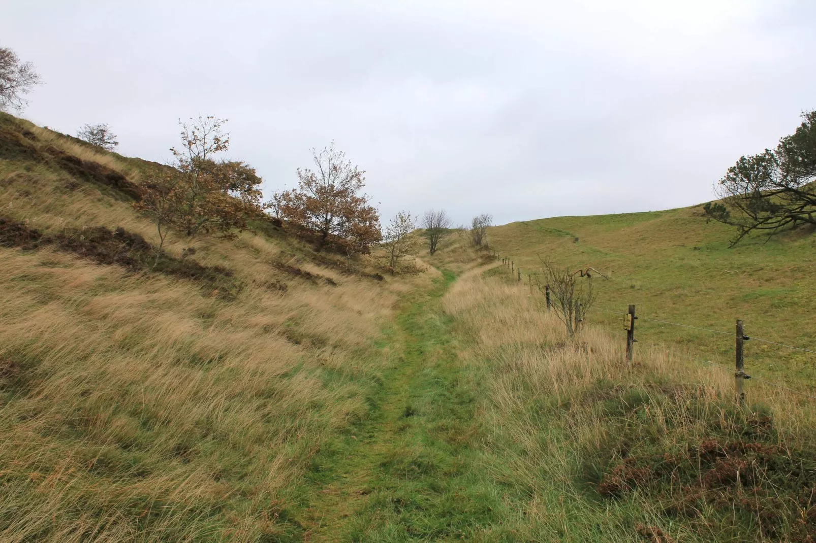 Schilderachtig toevluchtsoord in Boddum -- By Traum Ferienwohnungen-Niet-getagd