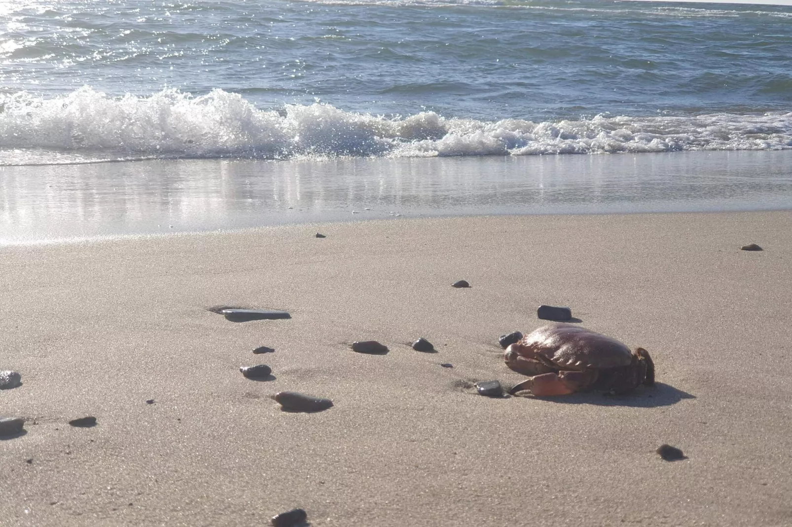 Kust ontsnapping met sauna -- By Traum Ferienwohnungen-Waterzicht