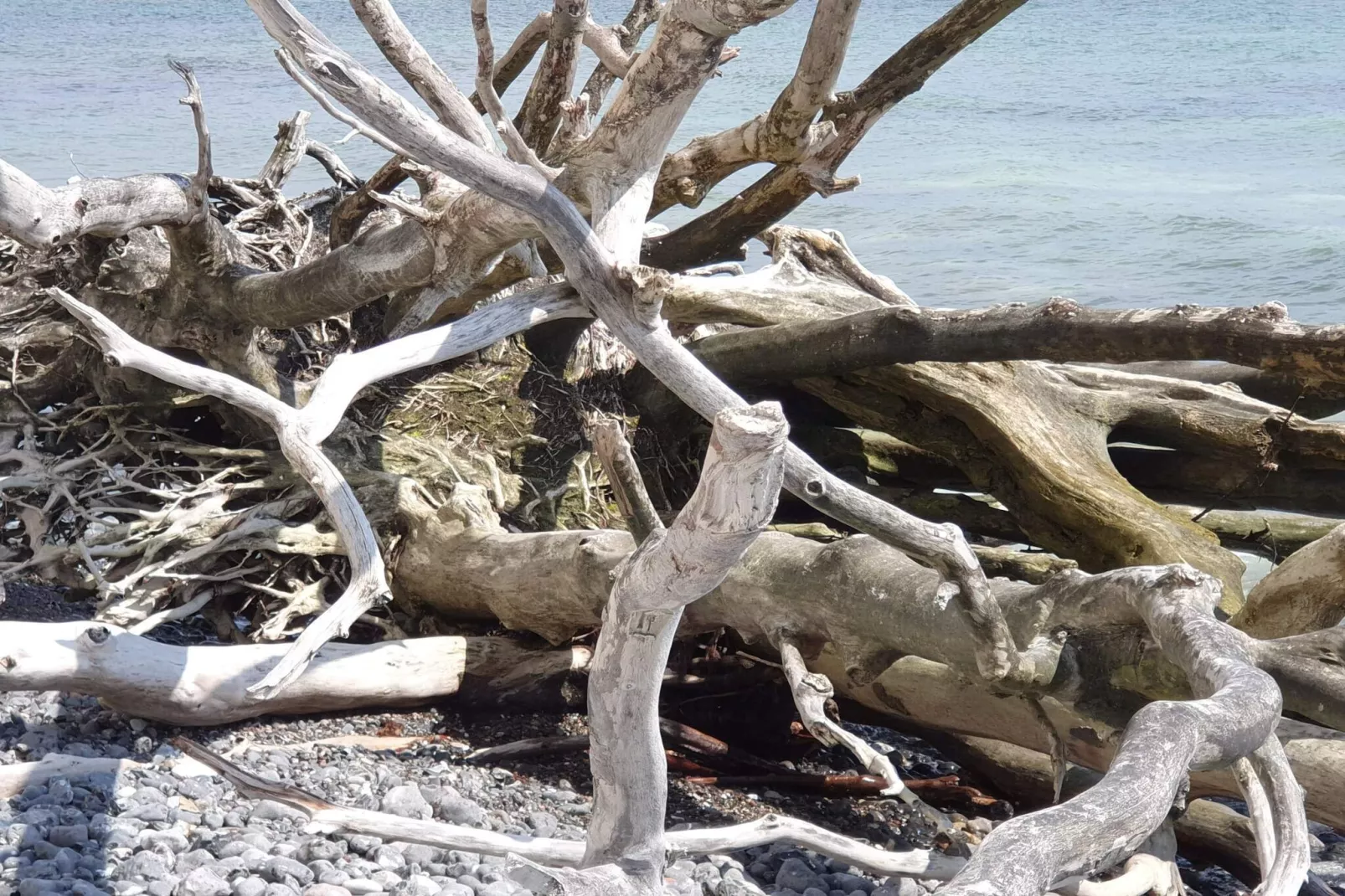 4 persoons vakantie huis in Stege-By Traum-Niet-getagd