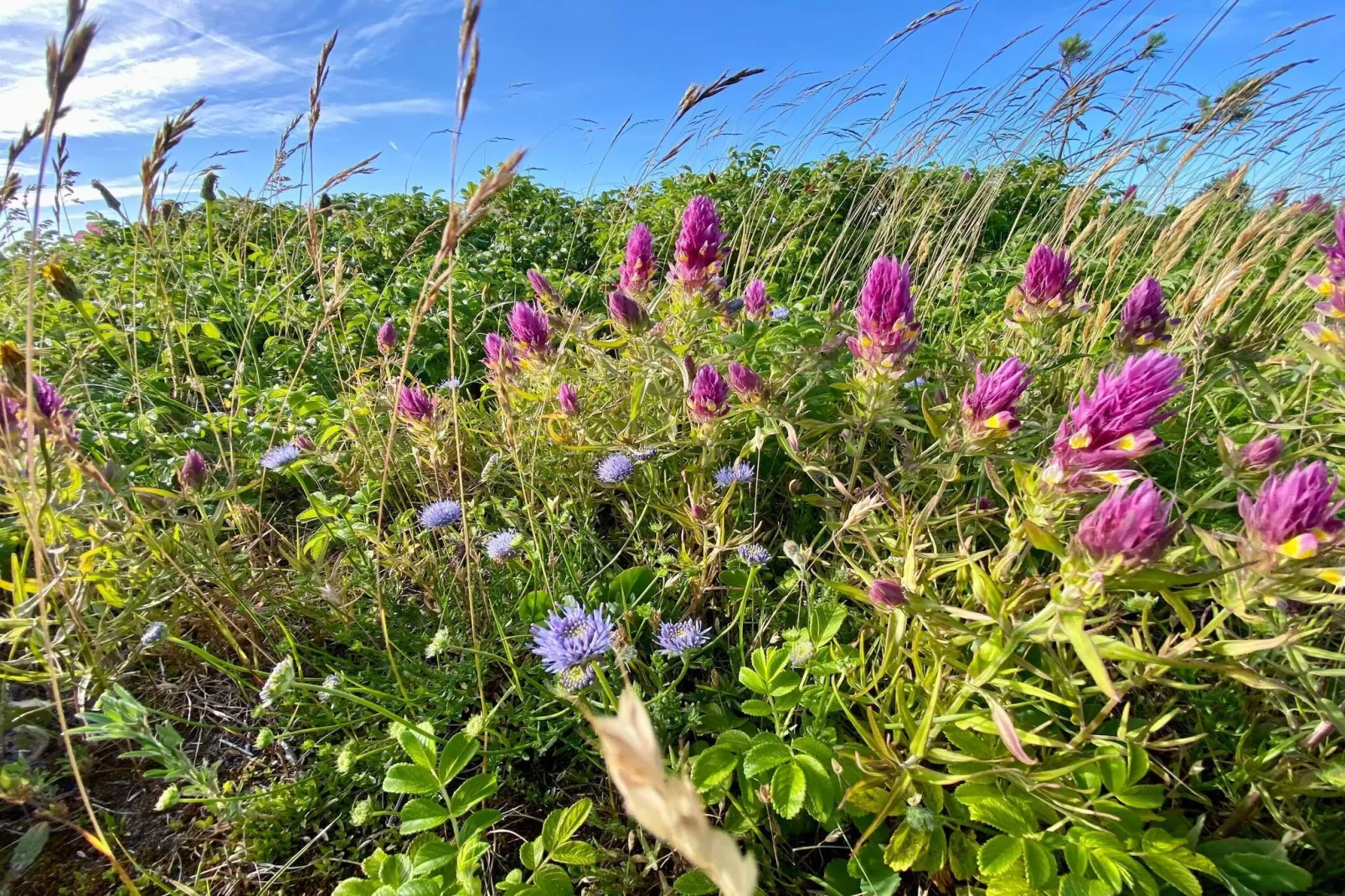 Rustige strand retraite -- By Traum Ferienwohnungen-Niet-getagd