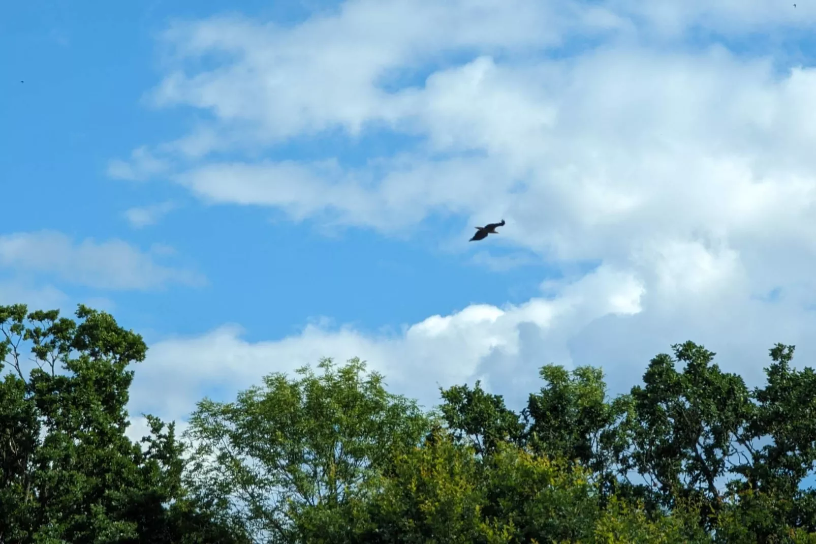 4 persoons vakantie huis in BERGKVARA-By Traum-Niet-getagd