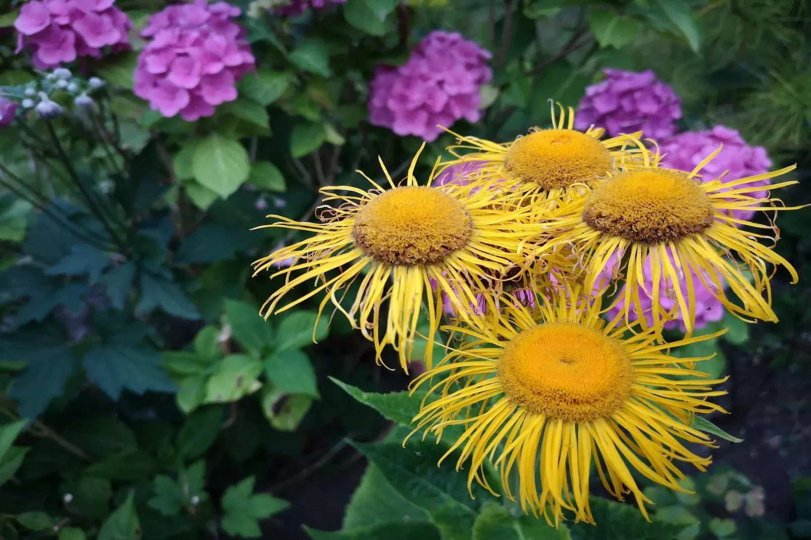 5 persoons vakantie huis in Hejls-By Traum-Niet-getagd