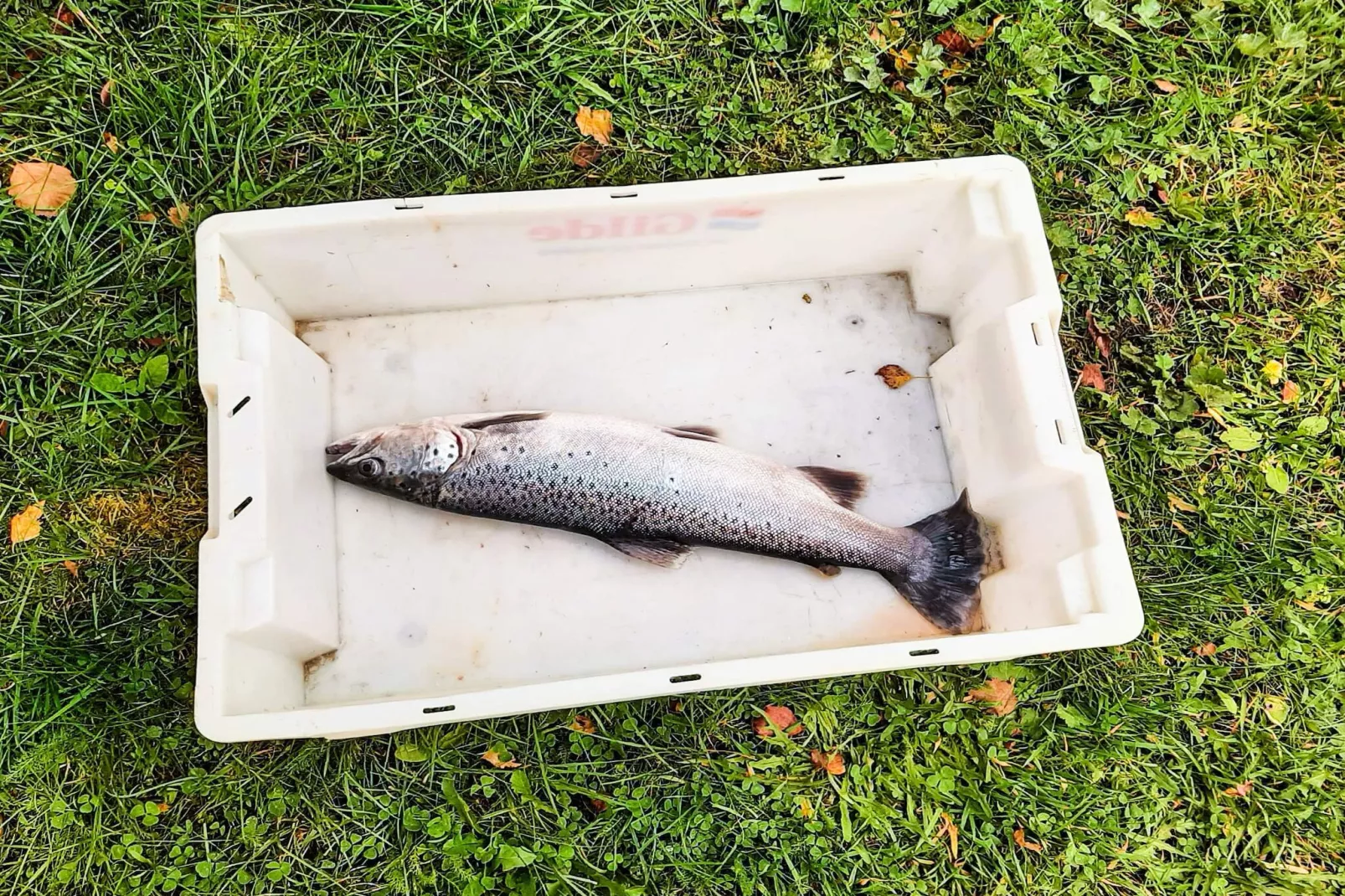 6 persoons vakantie huis in olden-By Traum-Niet-getagd