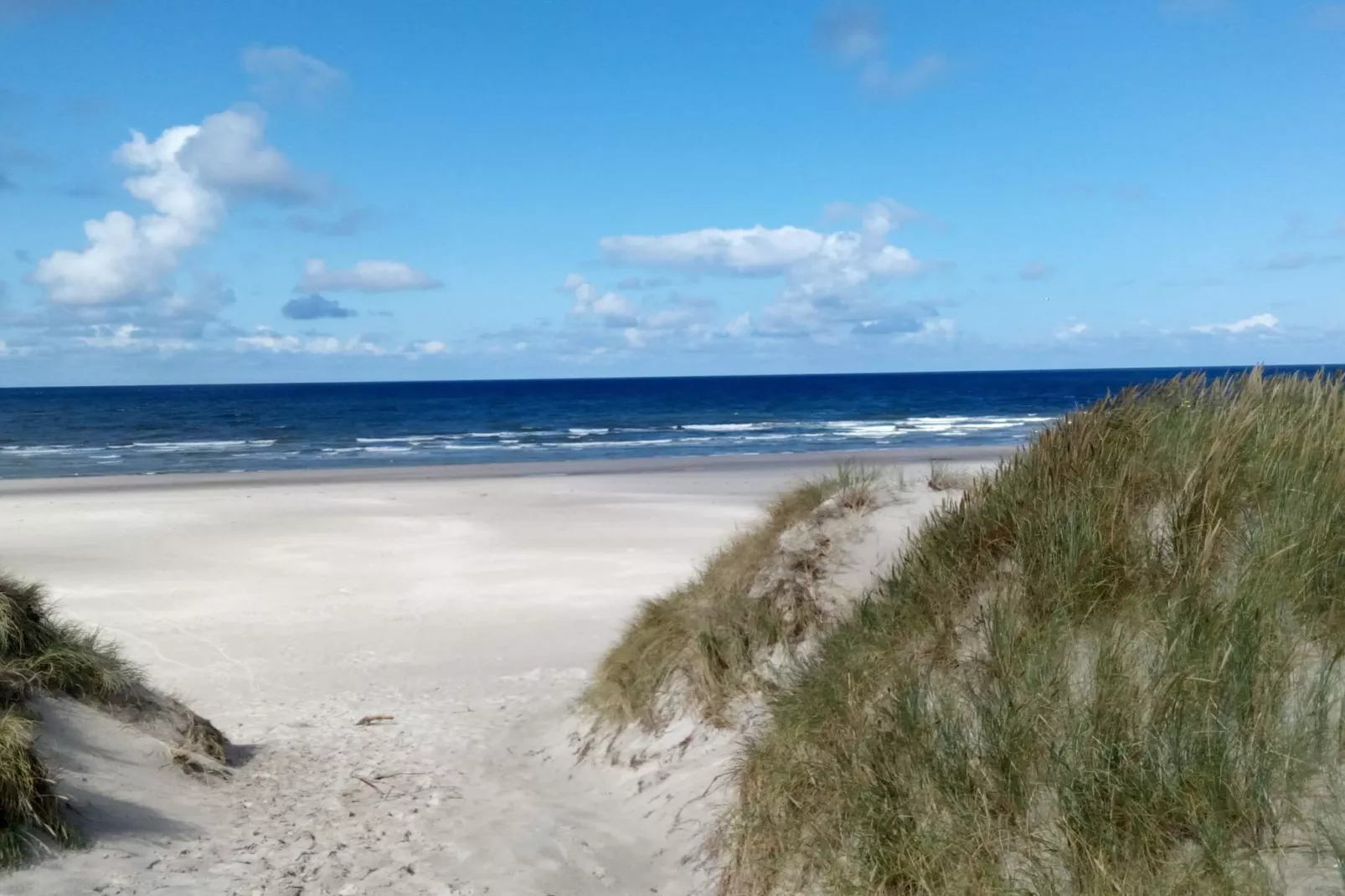 8 persoons vakantie huis in Oksbøl-By Traum-Waterzicht