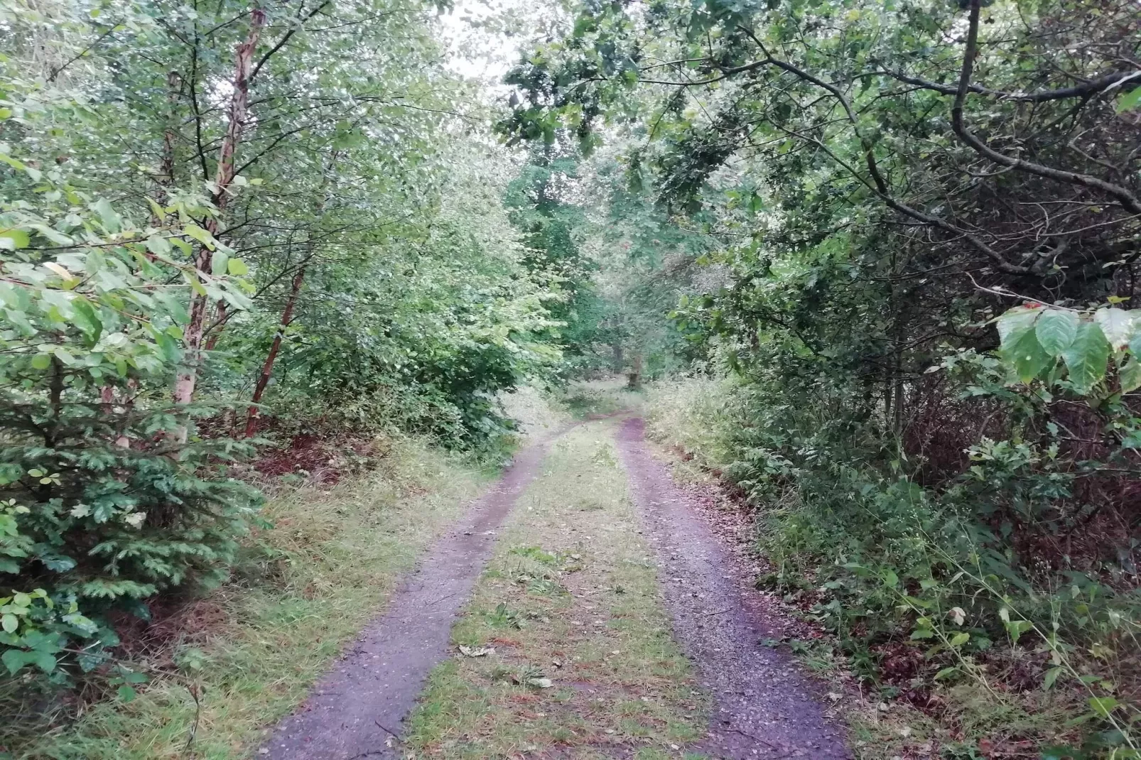 Gezinsvriendelijk huis aan het strand-Niet-getagd
