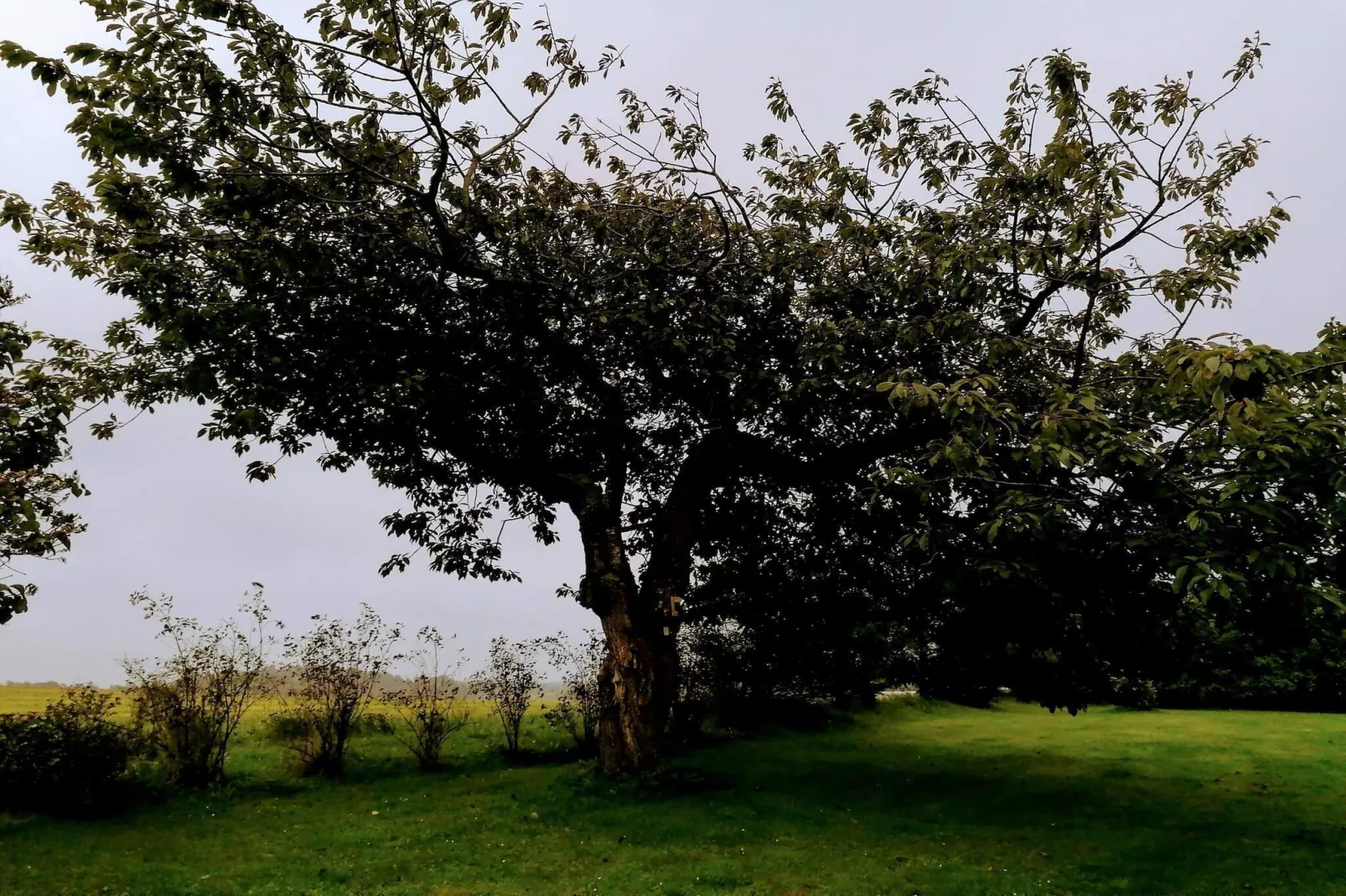 Panoramisch kustverblijf -- By Traum Ferienwohnungen-Niet-getagd