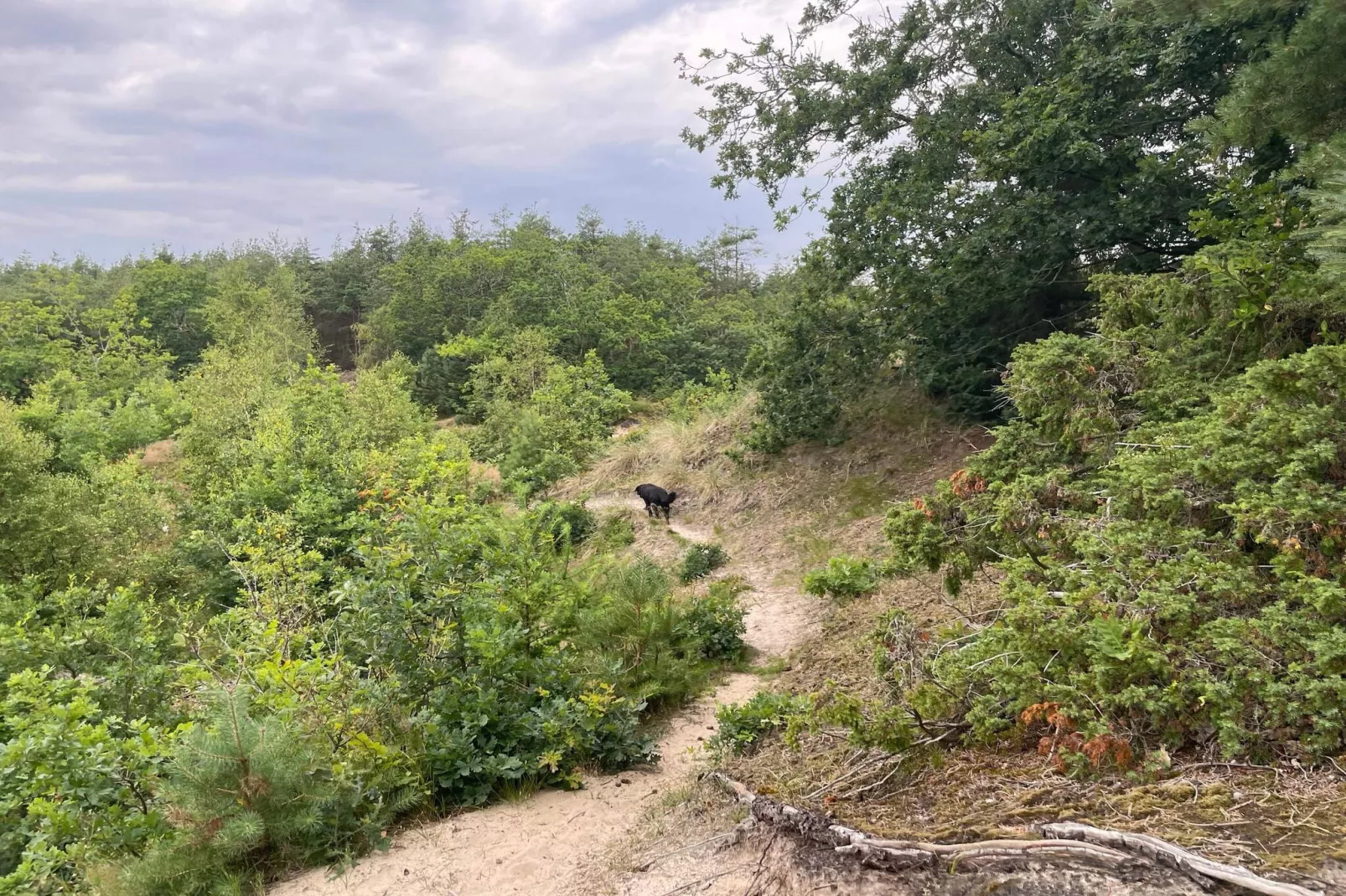 6 persoons vakantie huis in Pandrup-Niet-getagd