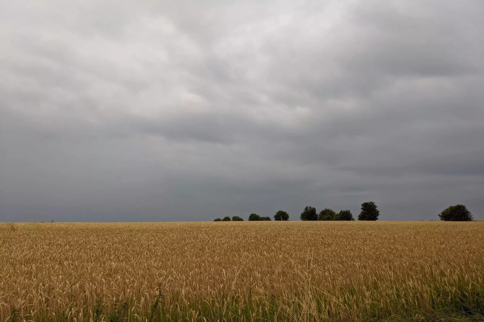 Panoramisch toevluchtsoord in Borgnaes -- By Traum Ferienwohnungen-Niet-getagd