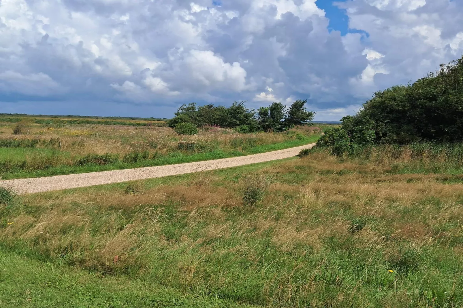 6 persoons vakantie huis in Hemmet-By Traum-Buitenlucht