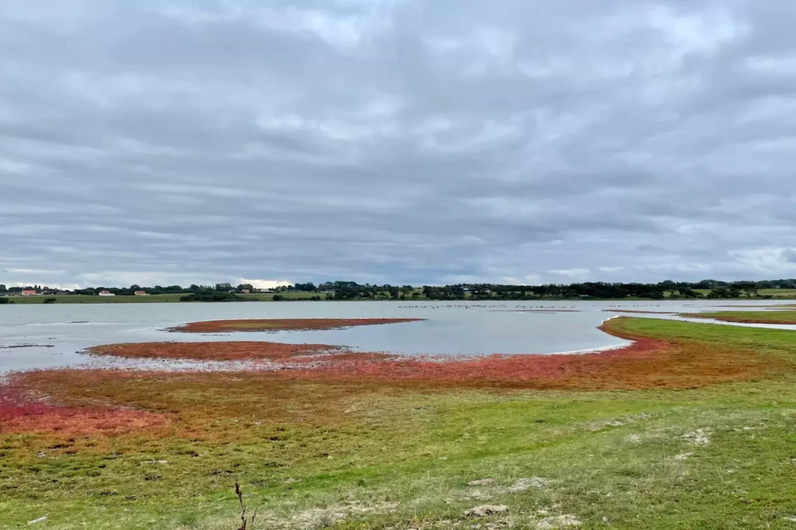 18 persoons vakantie huis in Faaborg-Waterzicht