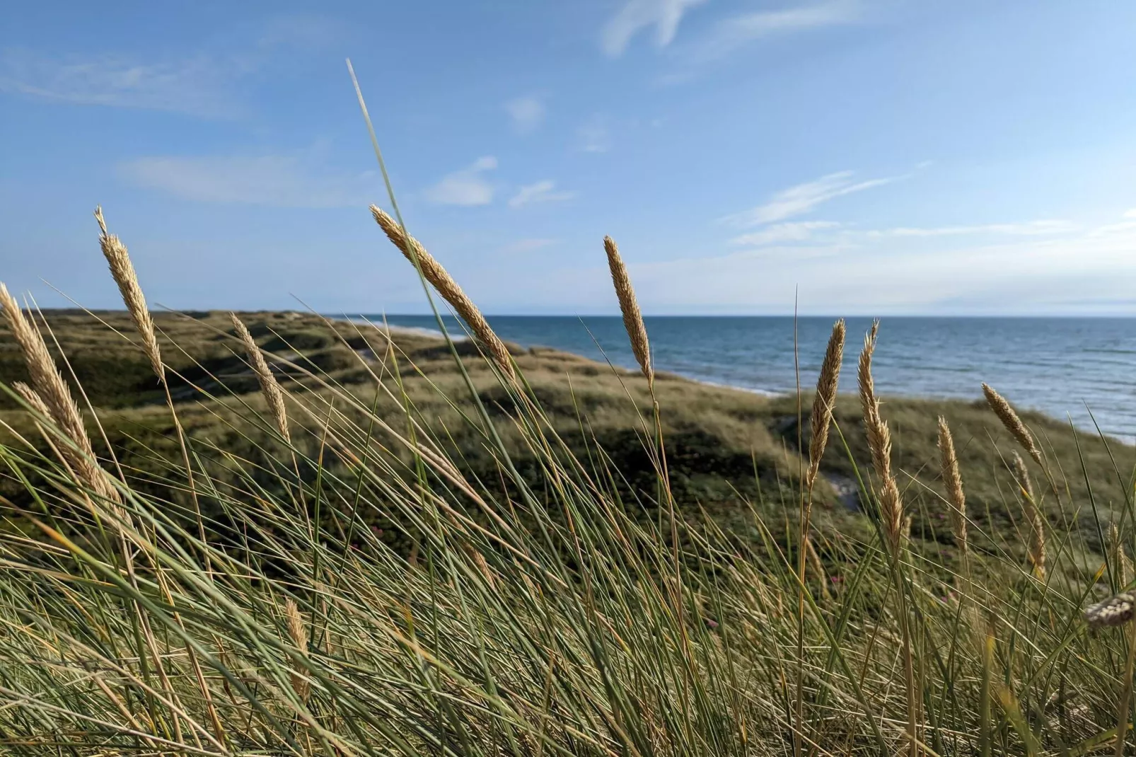 7 persoons vakantie huis in Ulfborg-By Traum-Waterzicht