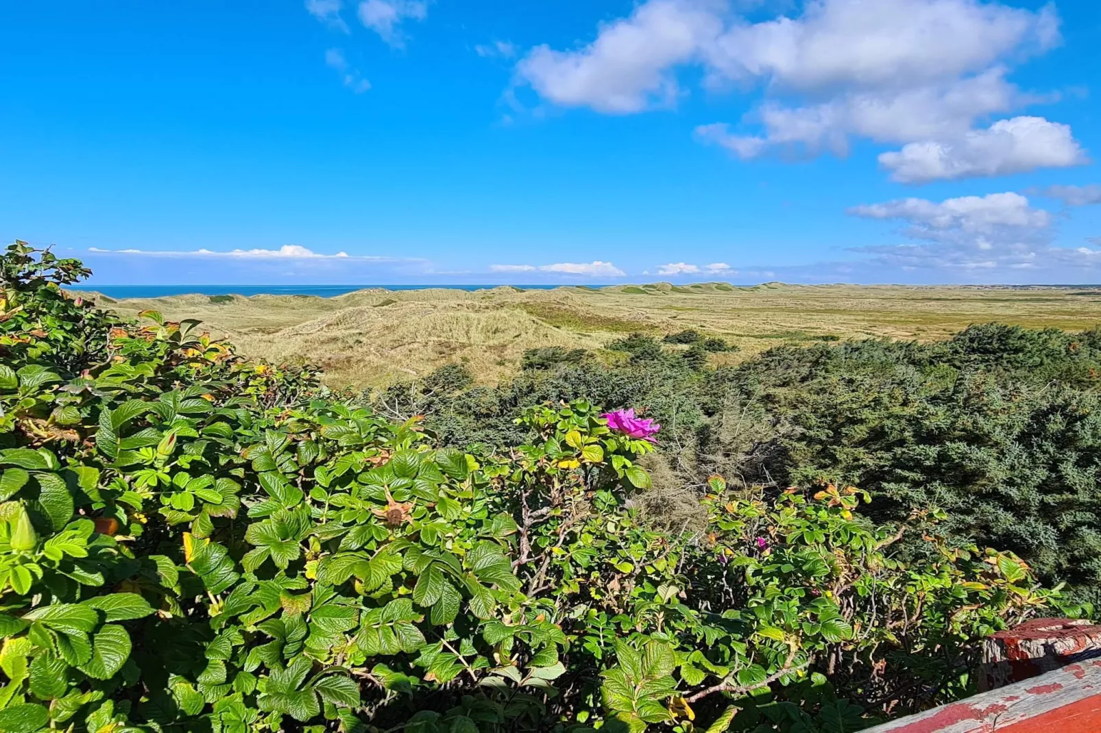 6 persoons vakantie huis in Hvide Sande-By Traum-Niet-getagd