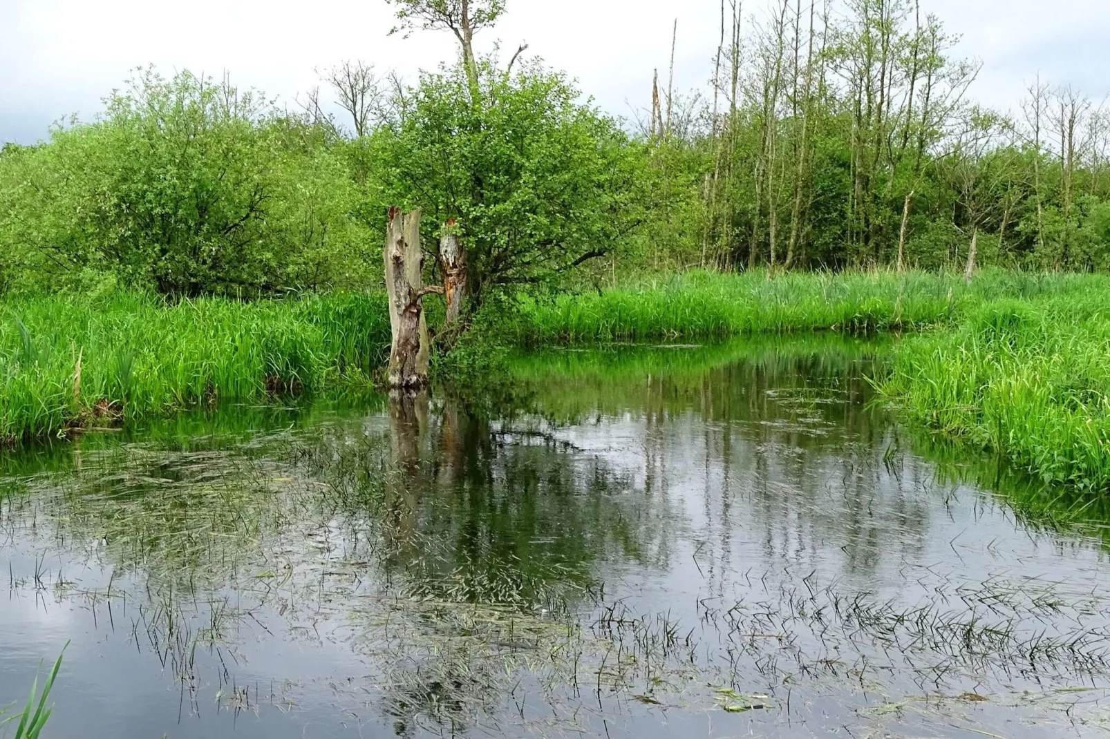 5 persoons vakantie huis in Ans By-By Traum-Waterzicht