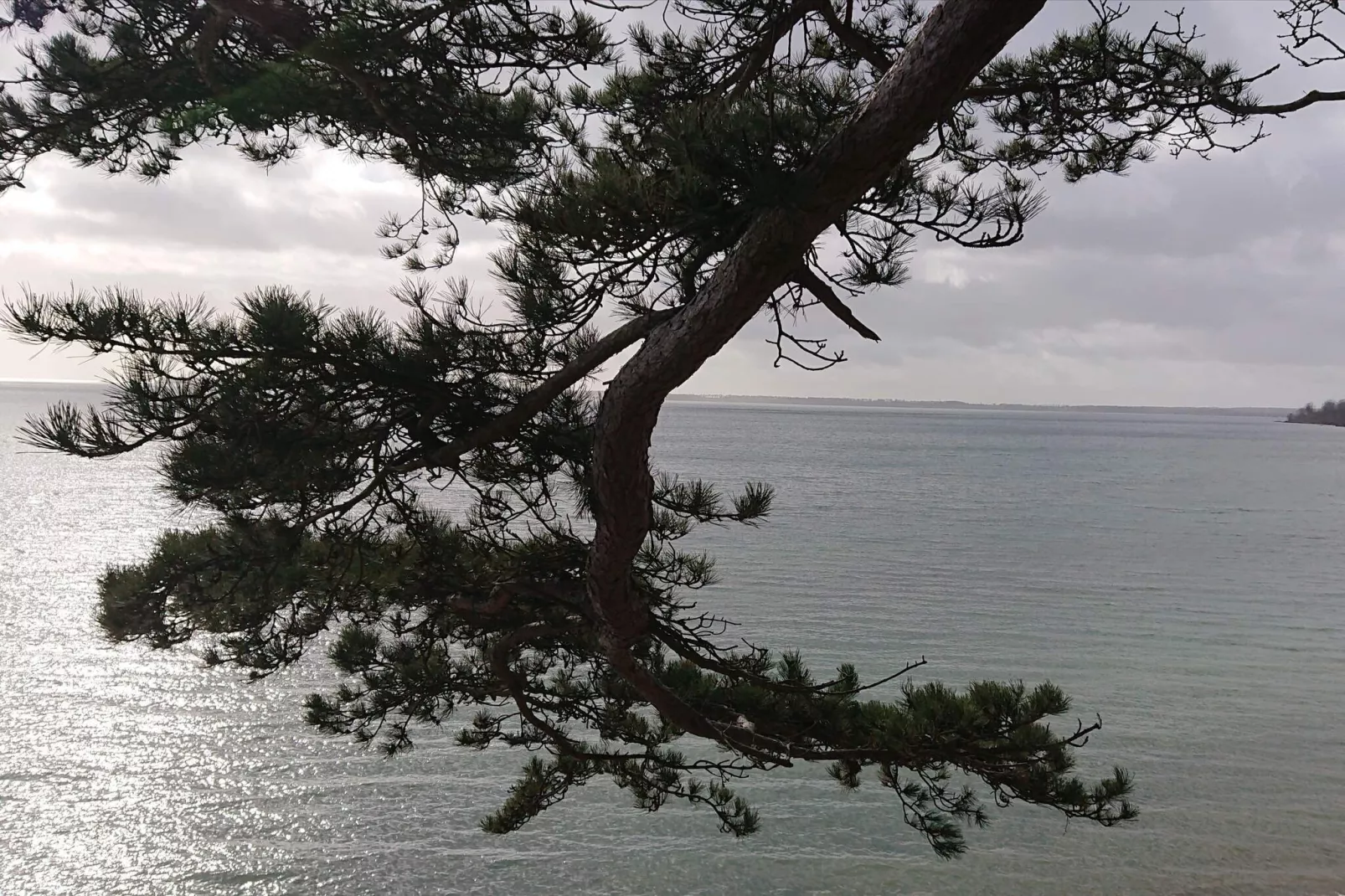 7 persoons vakantie huis in Juelsminde-Waterzicht